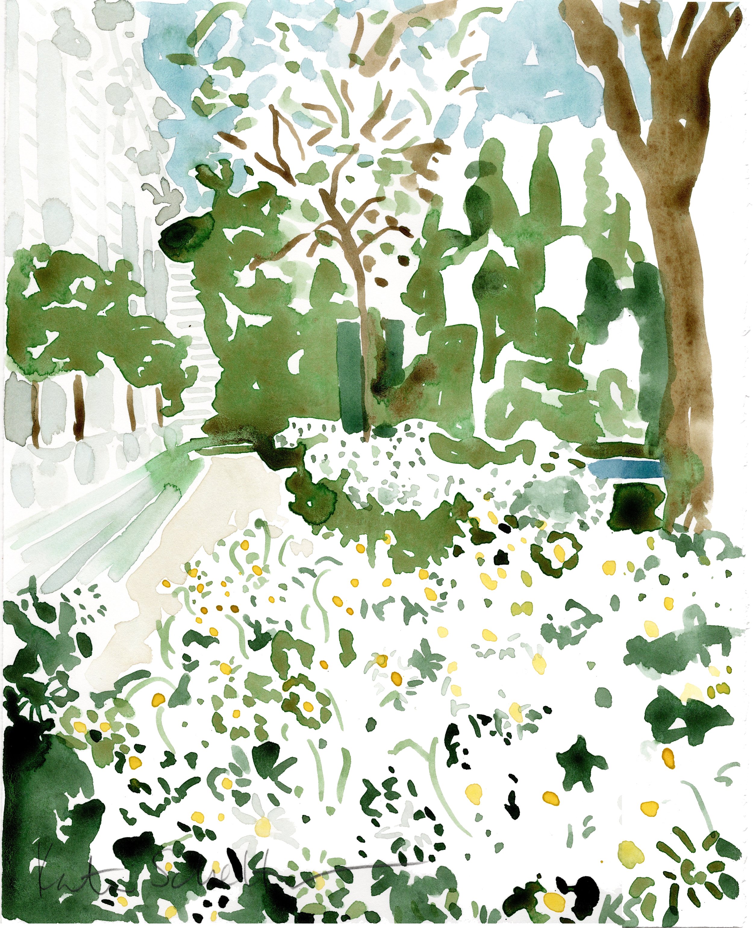 FRICK RUSSELL PAGE GARDEN DAISIES 9" X 11.5"_400DPI_R.jpg