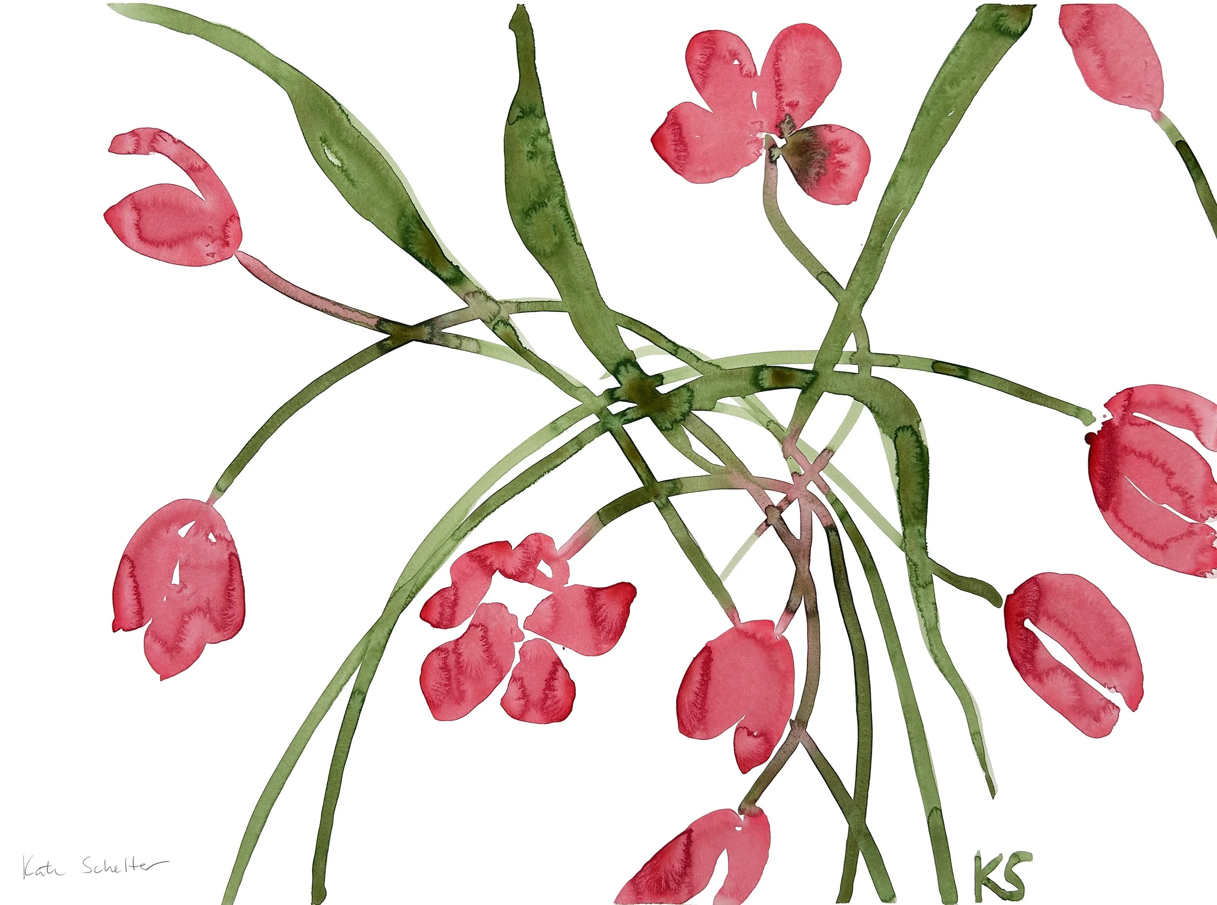 TULIPS RED | 30" X 22"