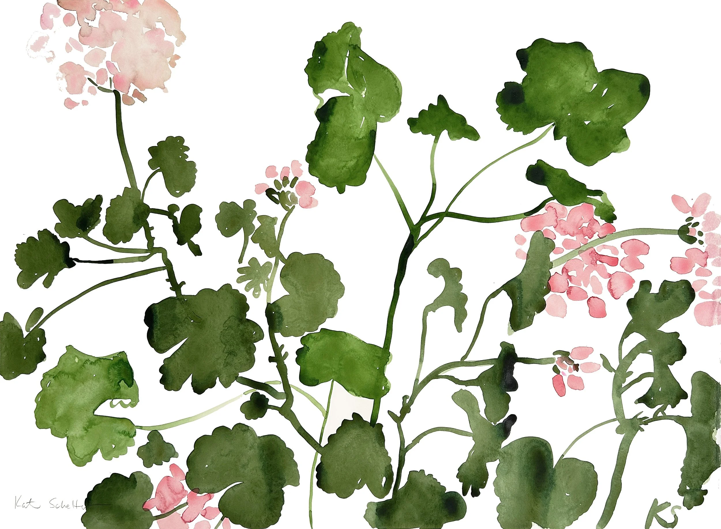 GERANIUM PINK WYNDMOOR | 30" X 22"