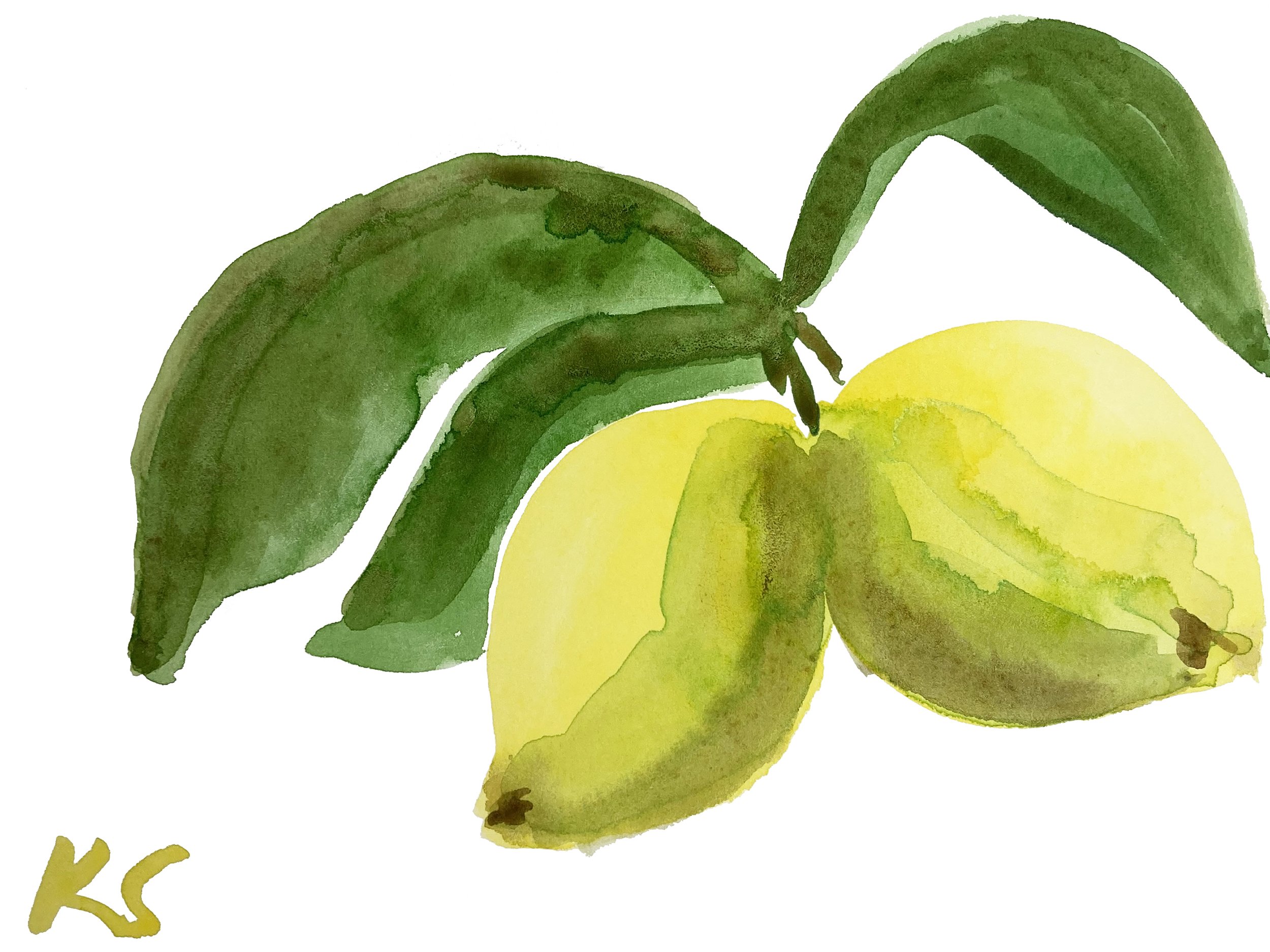 Two Lemons Leaves