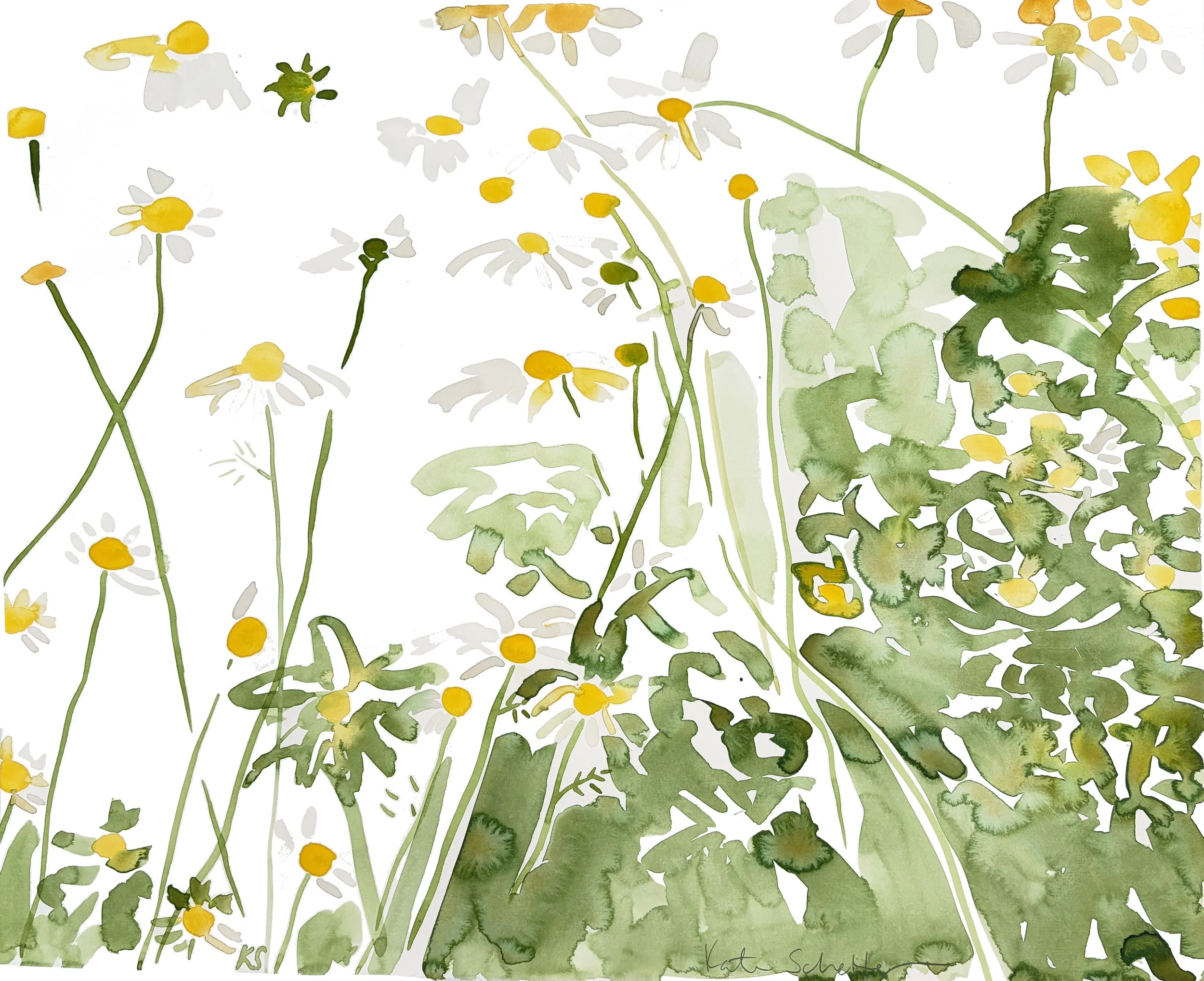 DAISIES MAINE 22.25" X 18"_R.jpg