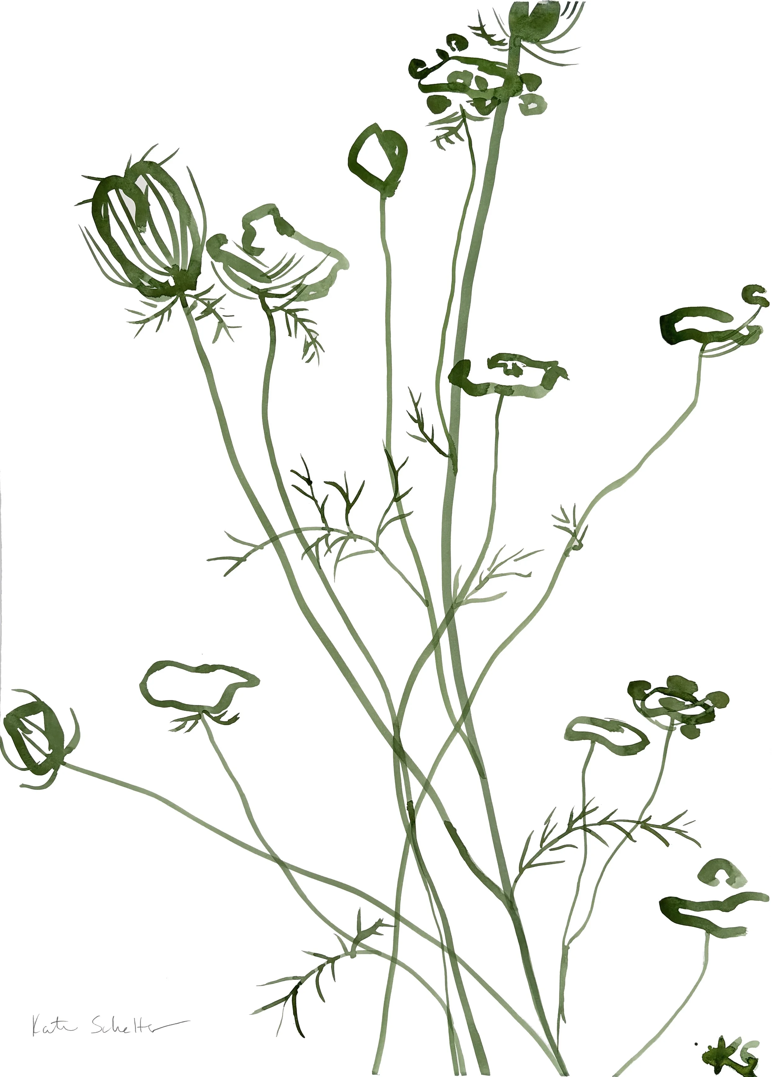 QUEEN ANNE'S LACE CAPE COD 12_ 22" X 30" [MINIMAL]_R.jpg