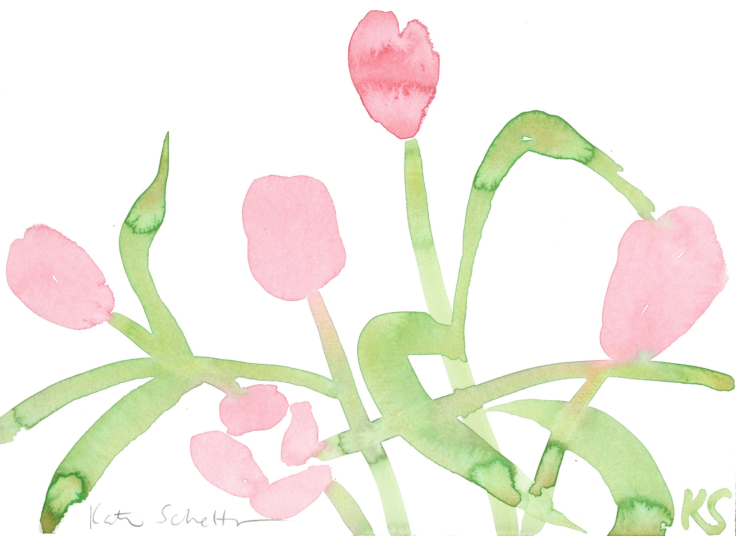 TULIPS PINK