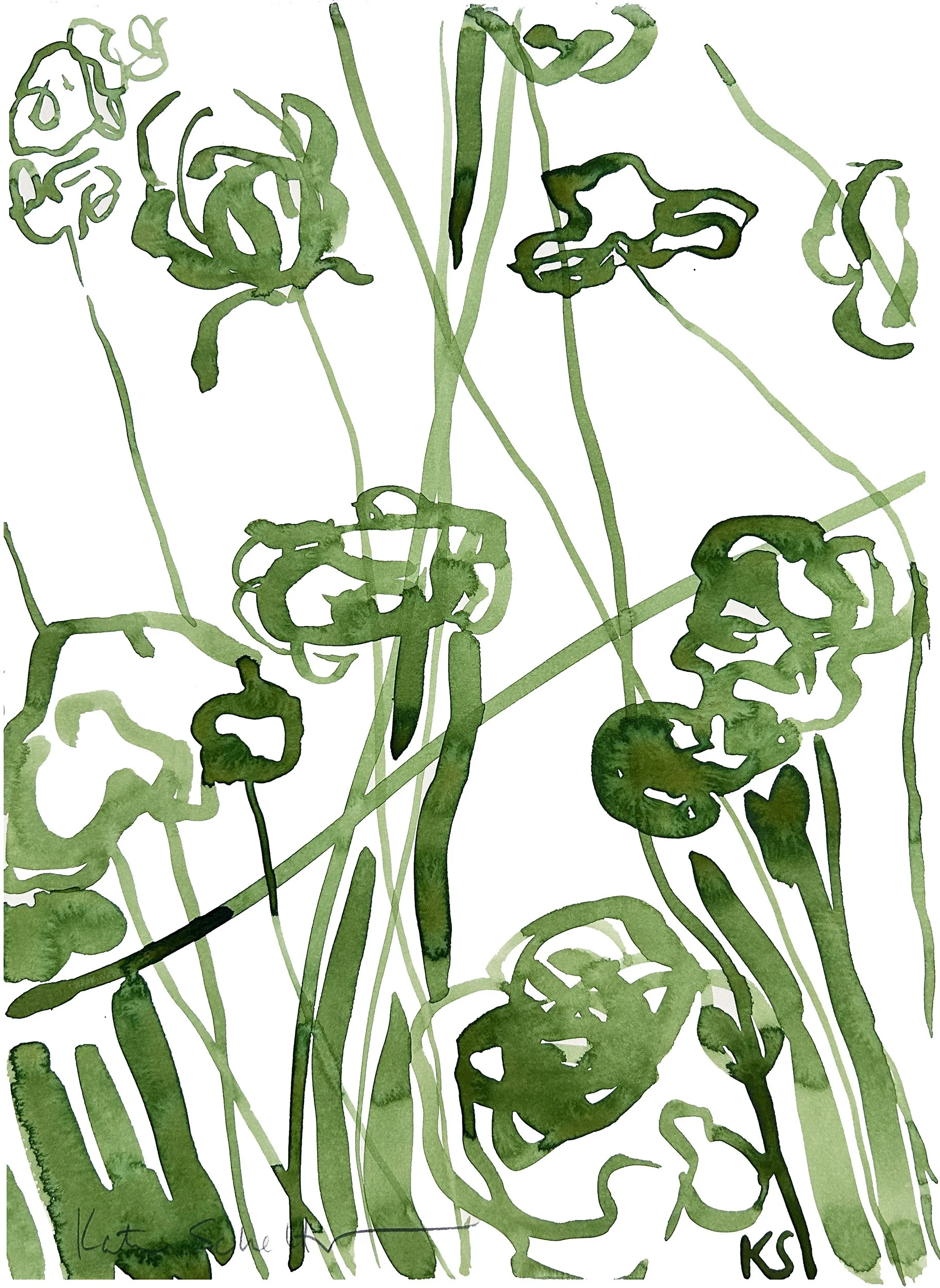 QUEEN ANNE'S LACE CAPE COD_3 11" X 15".jpg