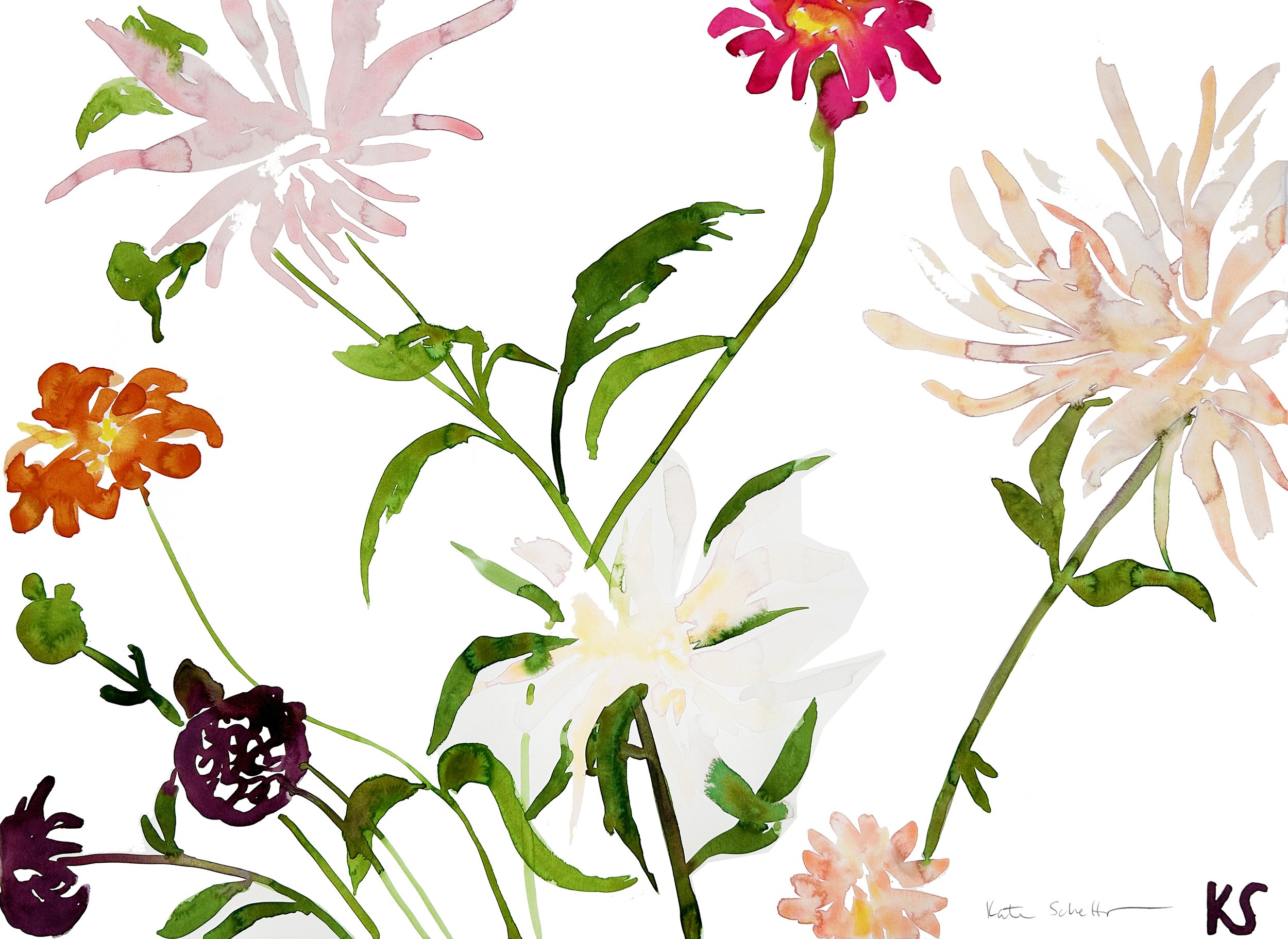 DAHLIAS 2024, 2 OF 2 DIPTYCH