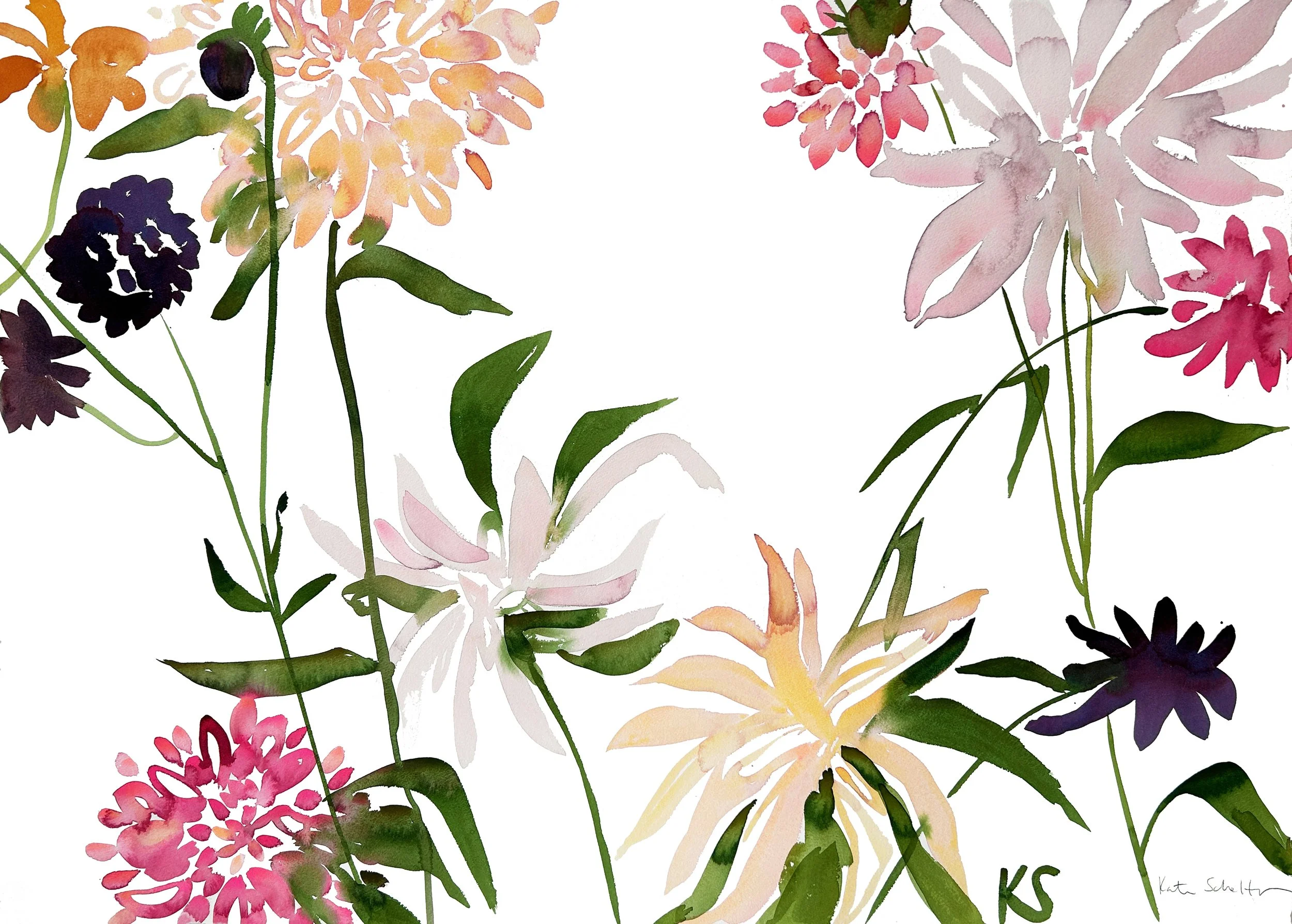 DAHLIAS 2024 | 40"X26"