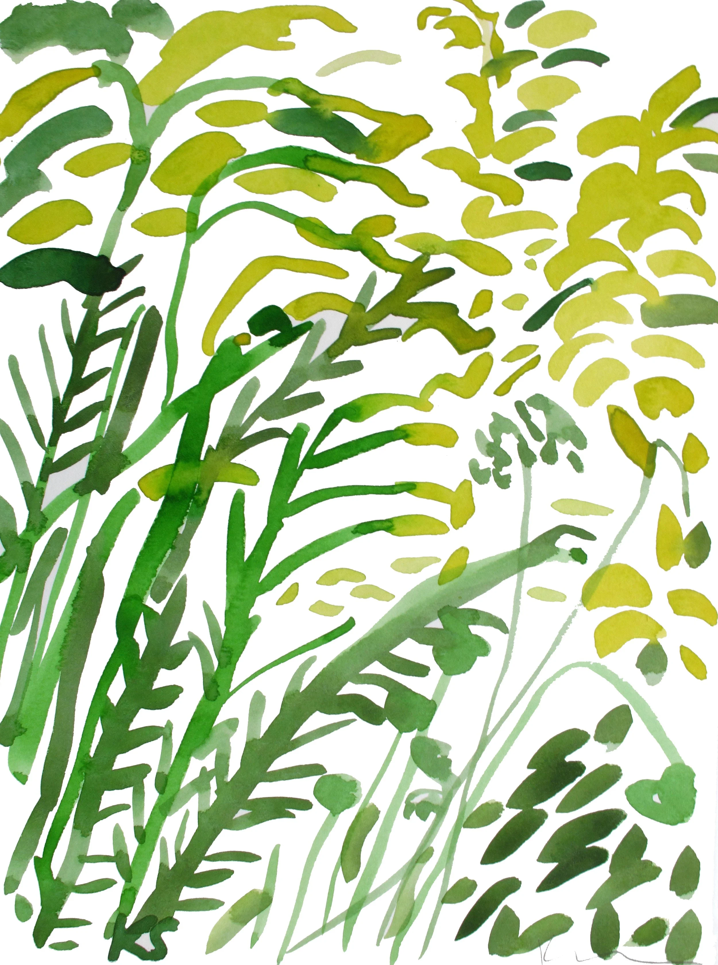 Golden Rod 7"x9.5"_150dpi_R.jpg