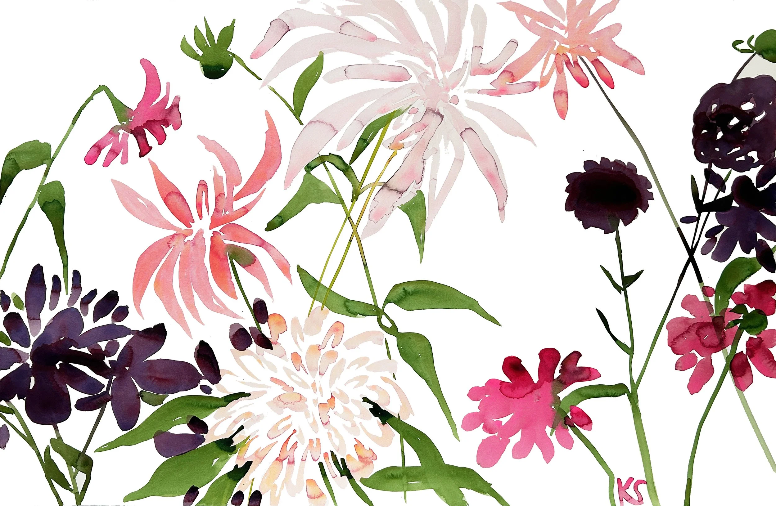DAHLIAS 2024 | 41.5"X30"