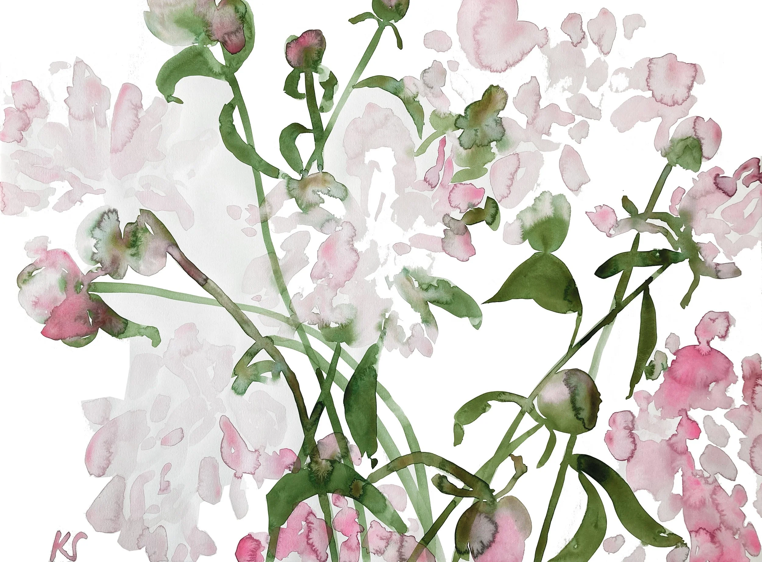 PEONIES PINK MAINE JULY 2023_2 | 30" X 22"