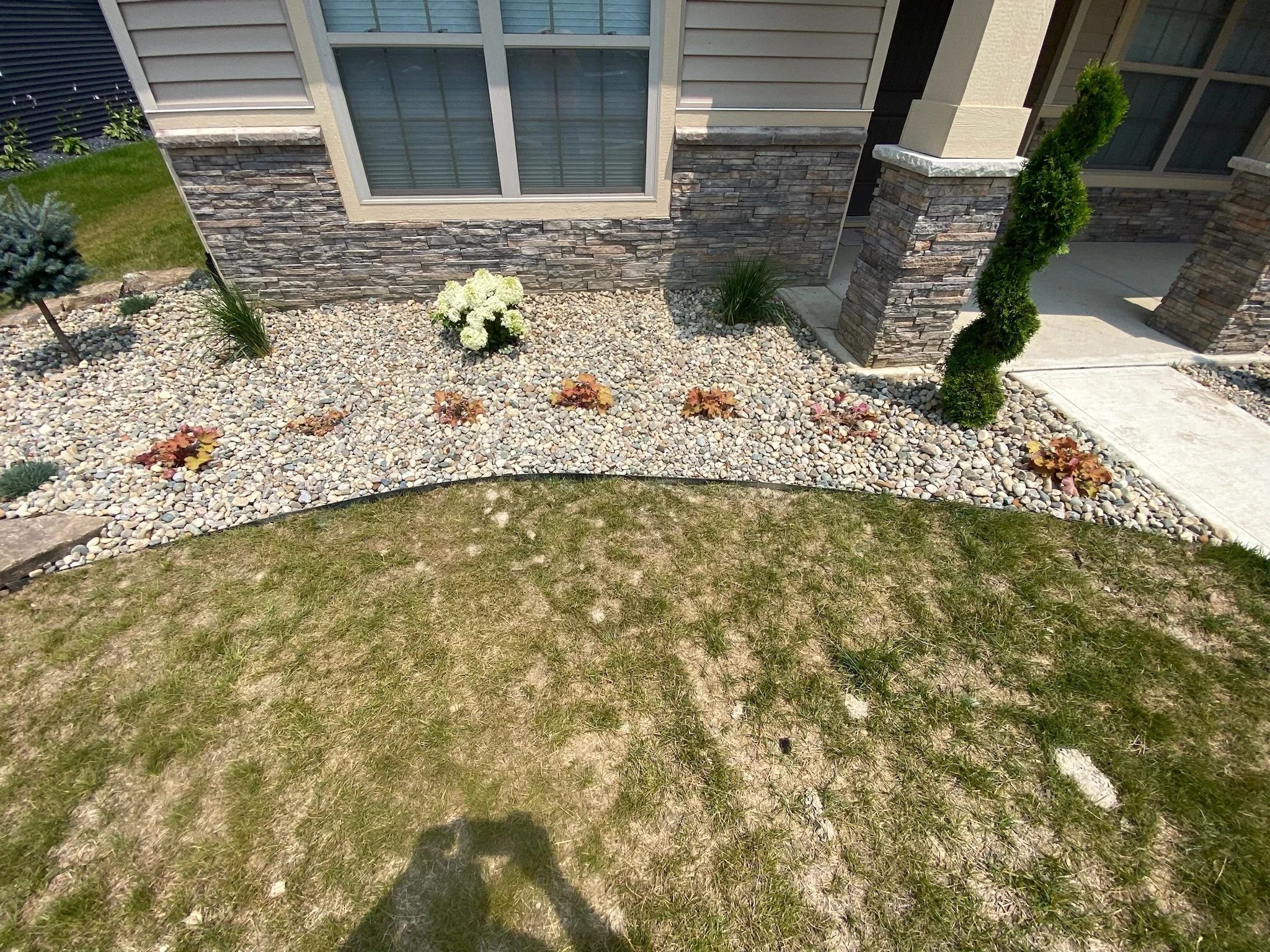 Front yard landscaping with stone mulch, small bushes, a spiral-shaped shrub, and grass.