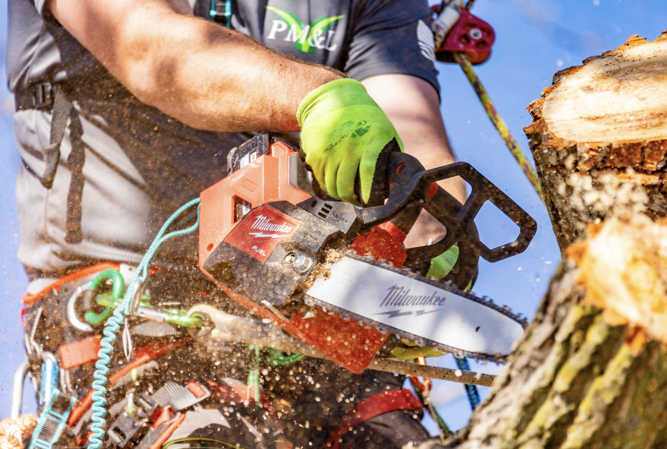 Person using a Milwaukee chainsaw to cut a tree branch, wearing safety gear and green gloves, with sawdust flying.