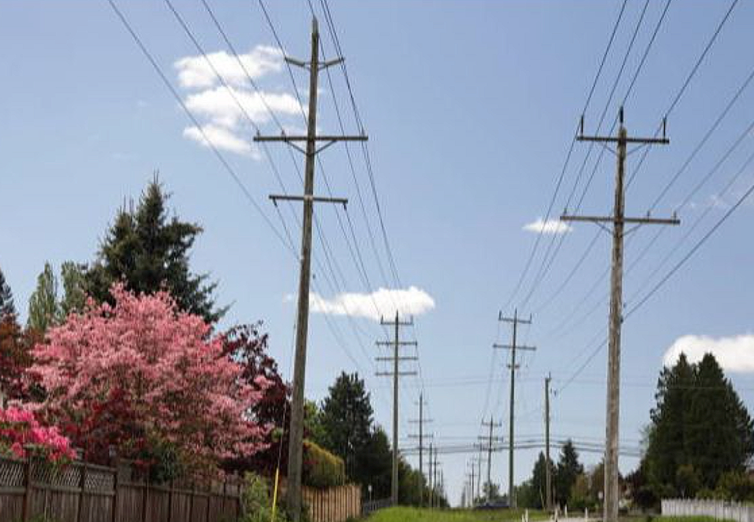 March 18, 2026 - Exploring the possibility of underground power lines in Happy Valley 
