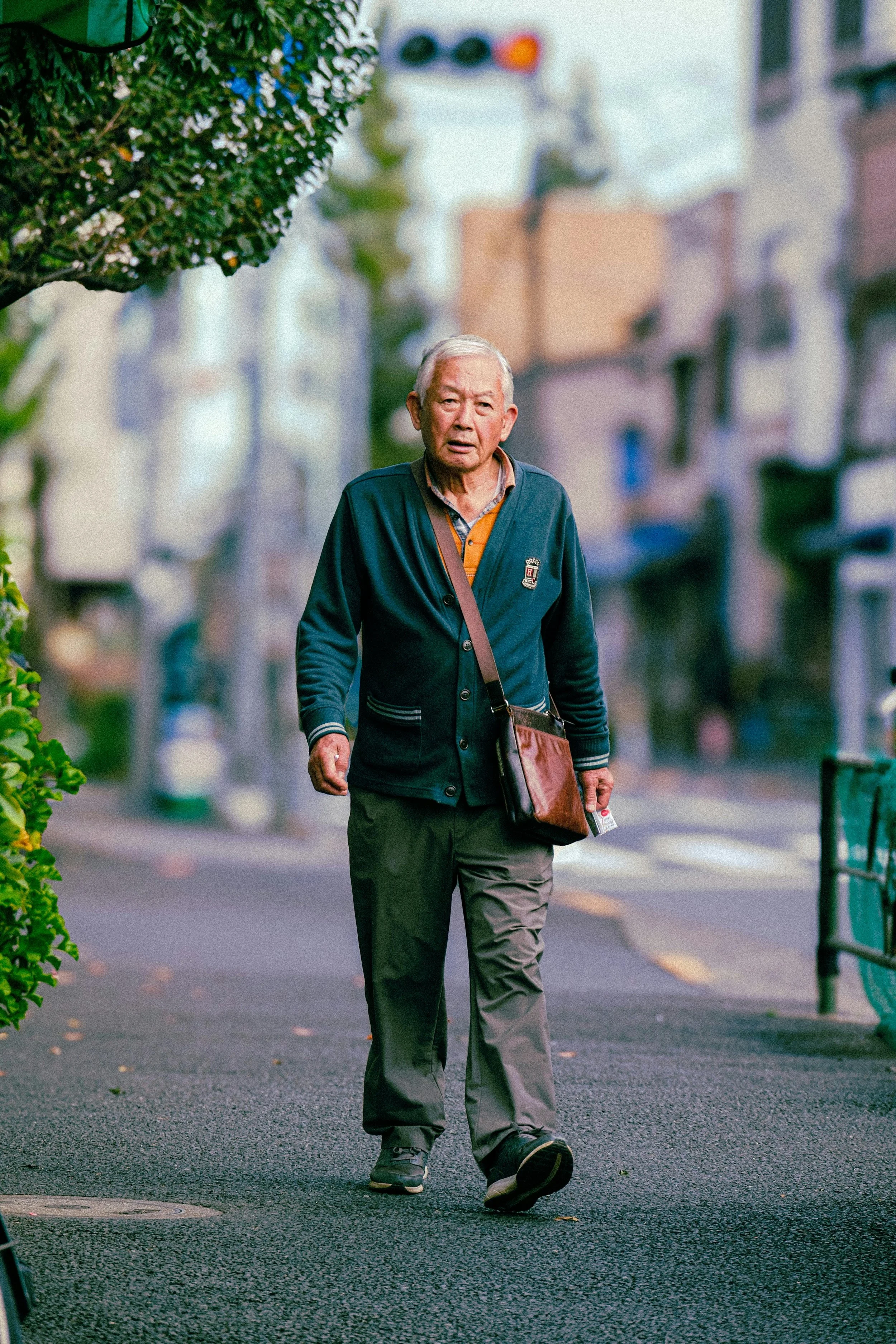 Key Findings From the Okinawan Centenarian Study