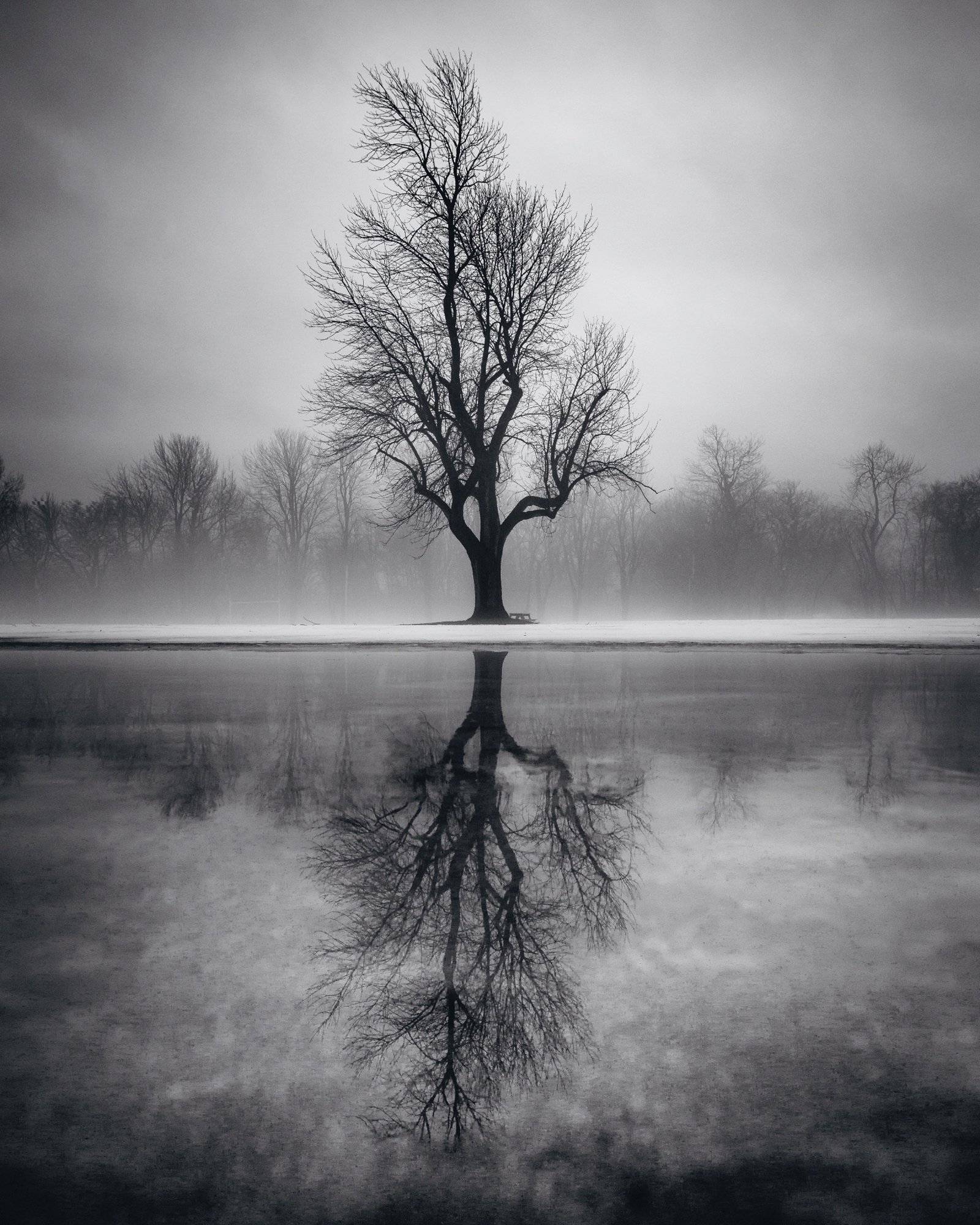 2024-04-02 08.40.13.jpg