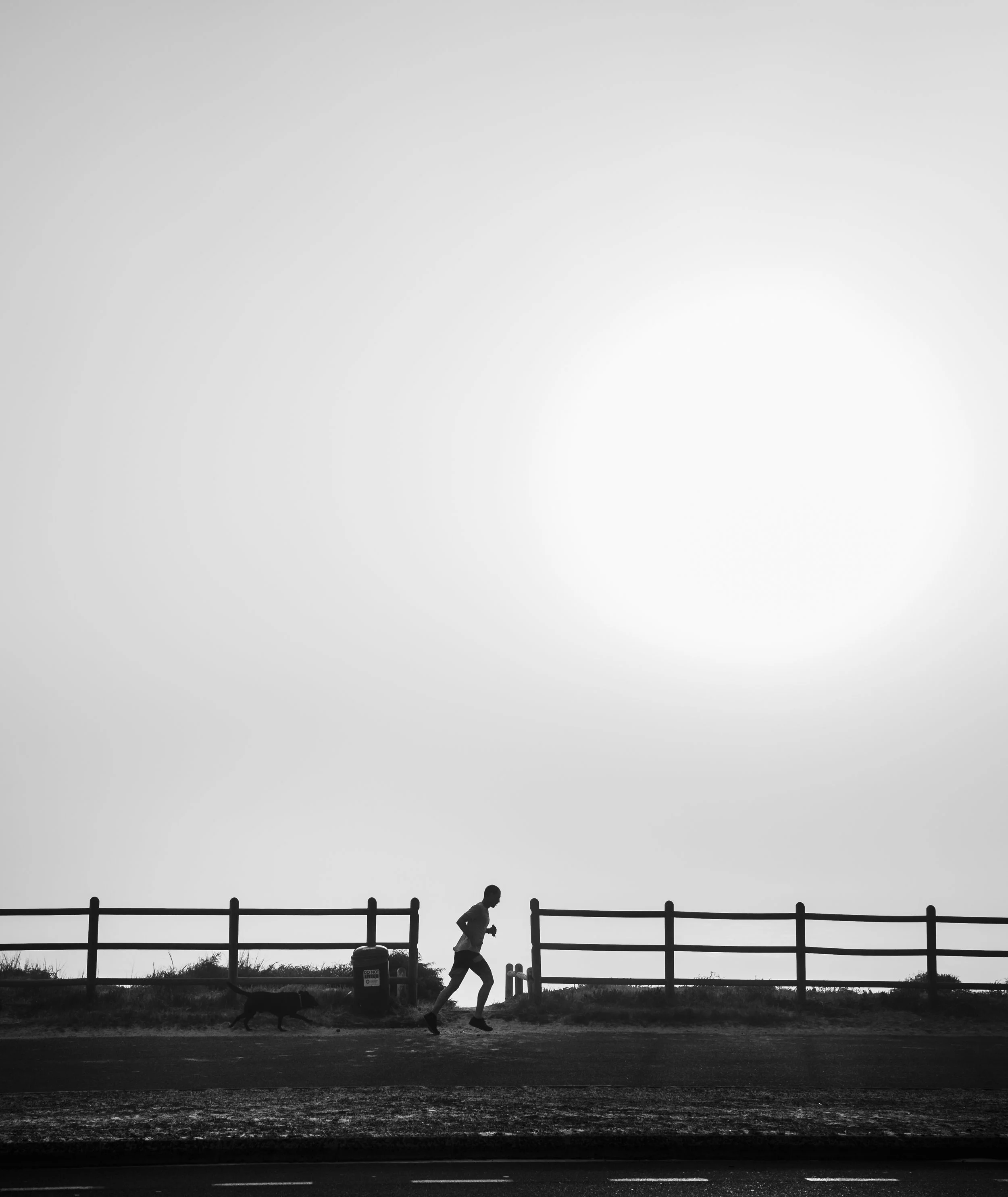 PACK South Africa - Steve Walsh Photography (12).jpg