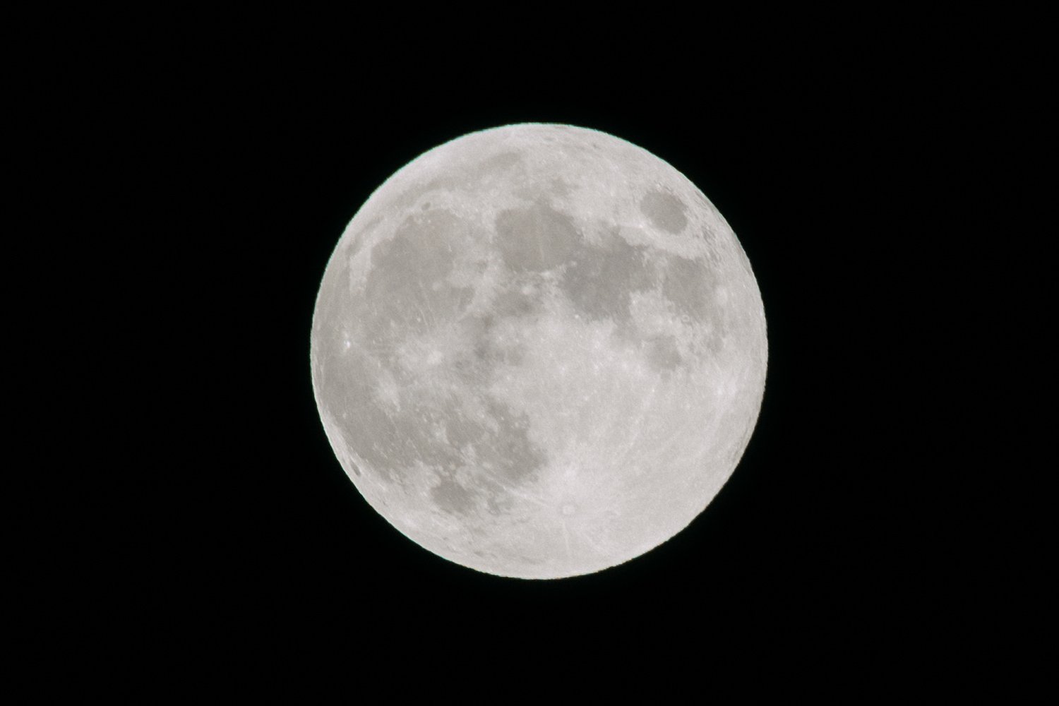 VHGP - SWP - web ready (440).jpg