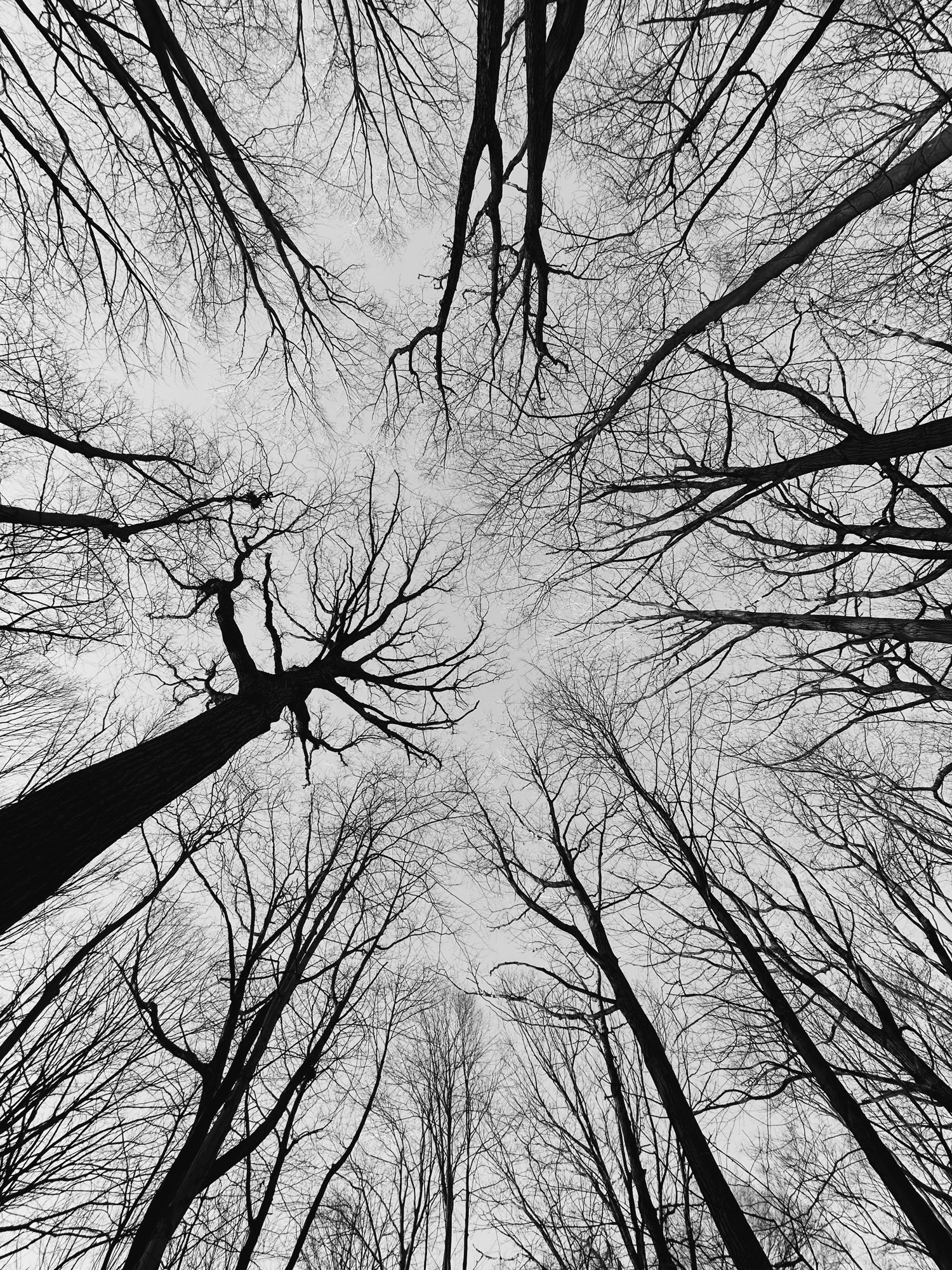 2024-04-07 18.54.02-2.jpg