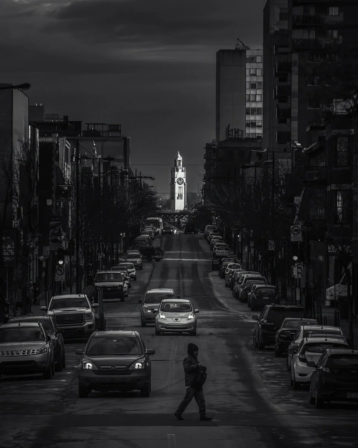 Steve Walsh Photography - Life Framer (8).jpg