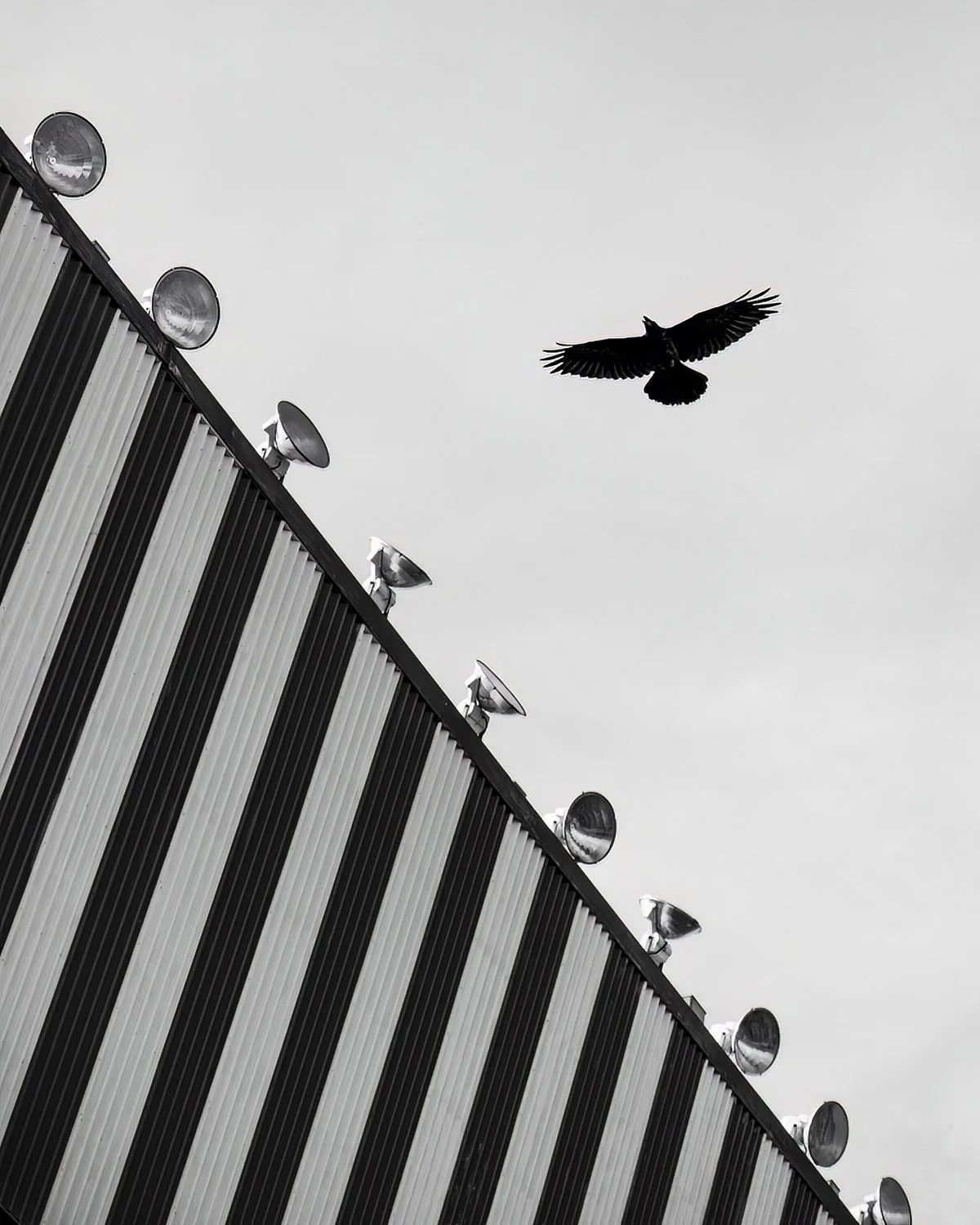 Steve Walsh Photography - Life Framer.jpg