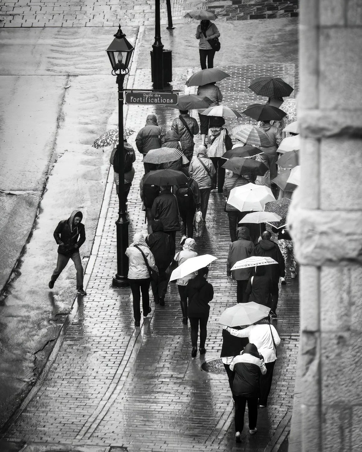 Steve Walsh Photography - Life Framer (7).jpg