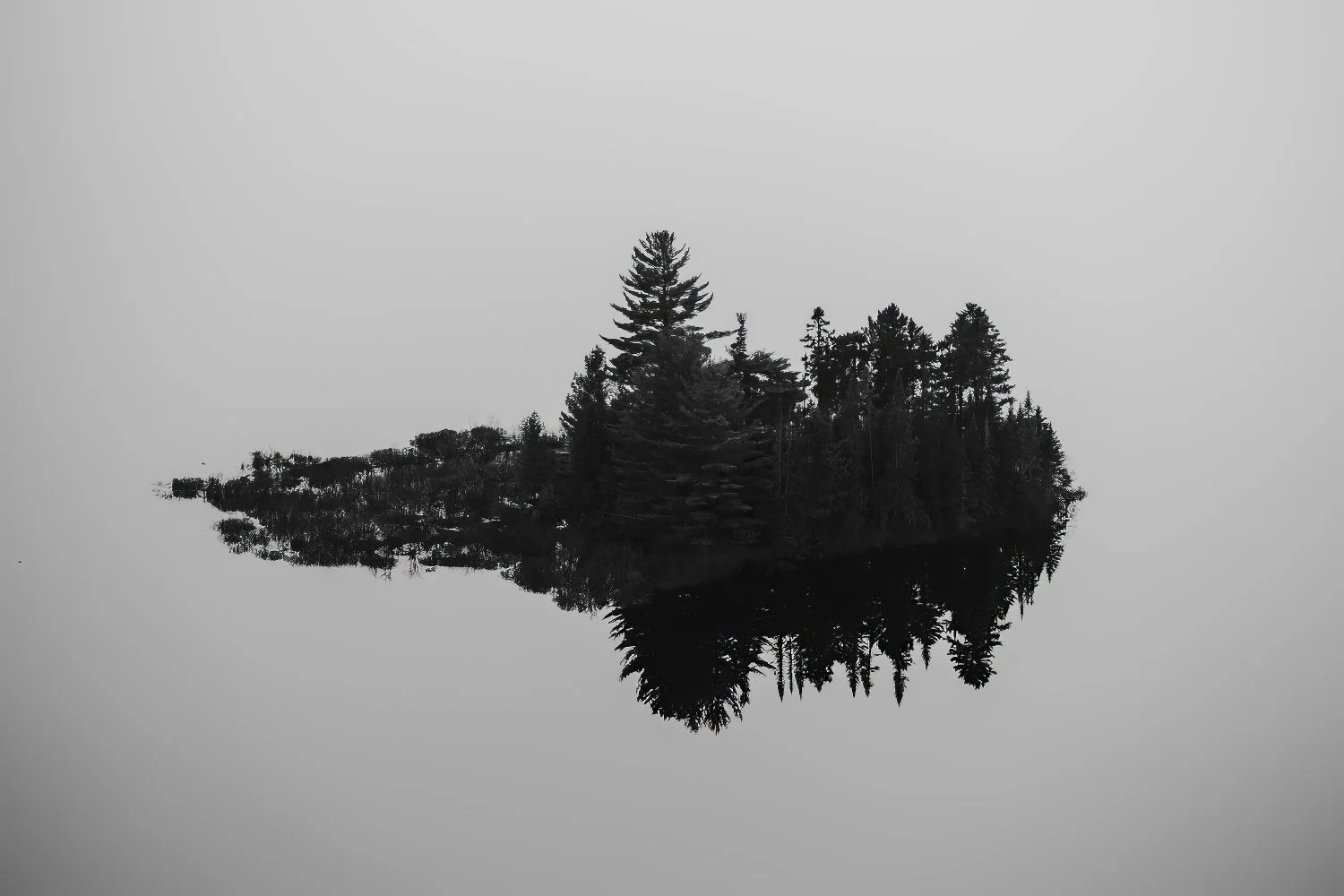 Steve Walsh Photography - Life Framer (4).jpg