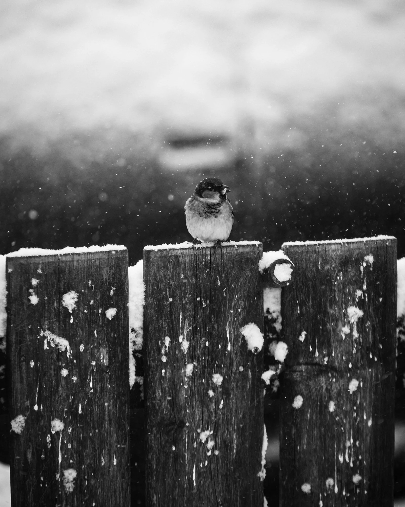 2022-01-17 16.05.26.jpg