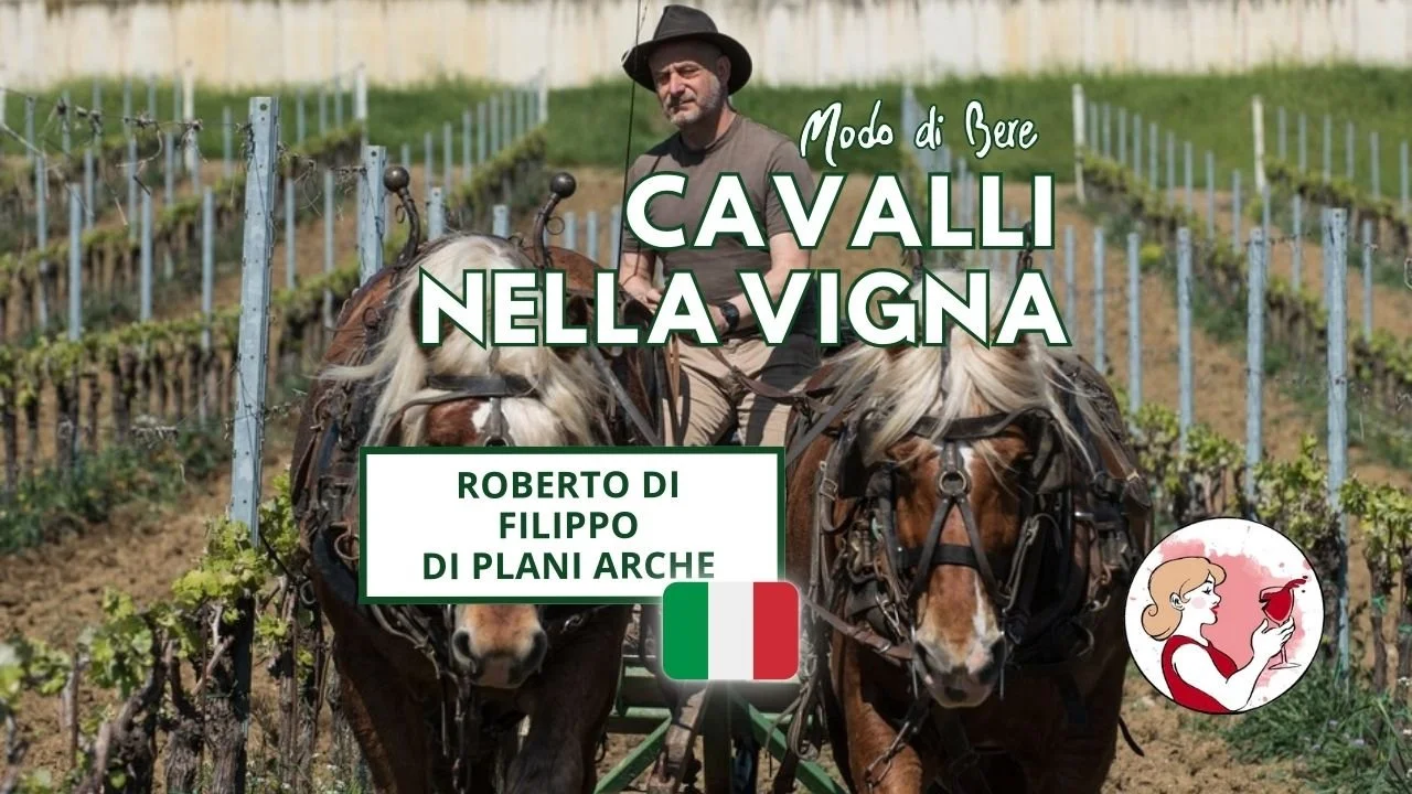 ▷S1E5 Cavalli nella vigna con Roberto di Filippo di Plani Arche
