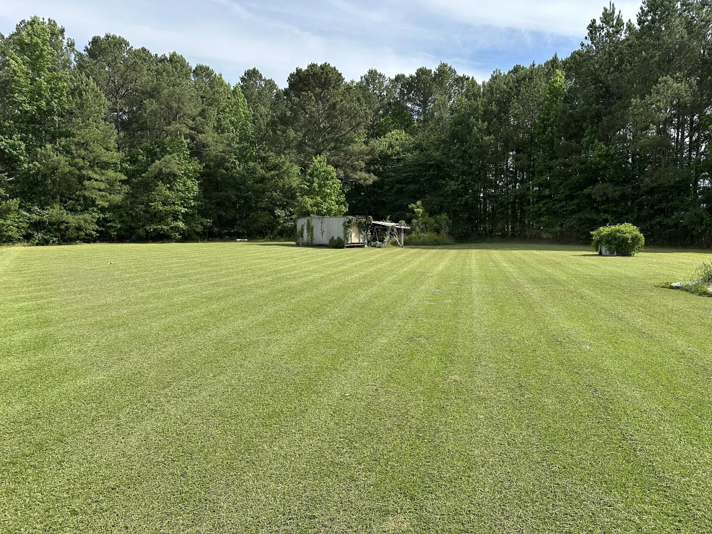 A large grassy backyard with a shed, surrounded by trees and bushes, under a partly cloudy sky.