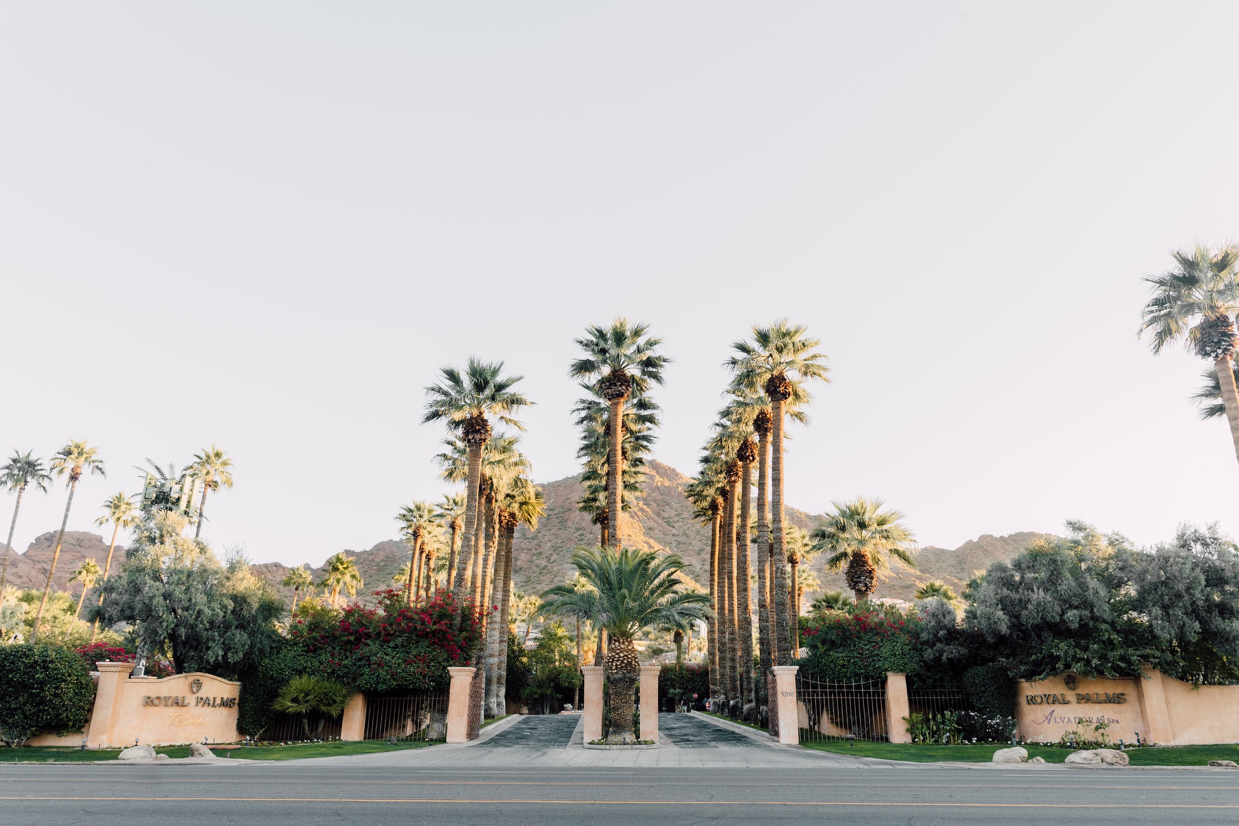 Front Drive Arrival.jpg