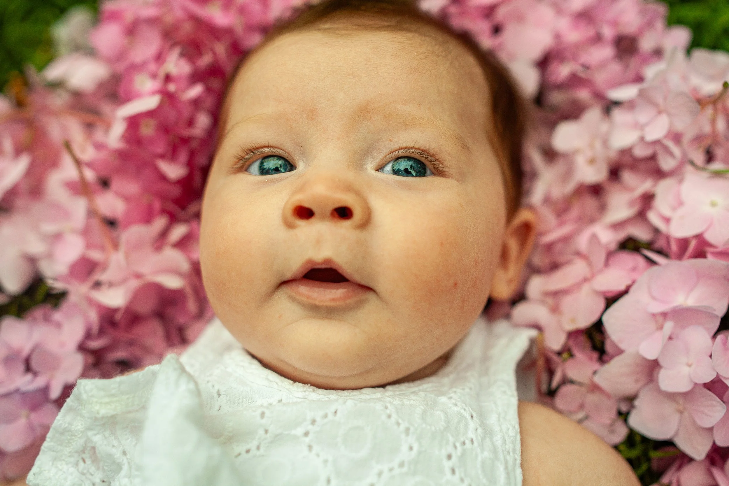 Mallett_Family-26.jpg