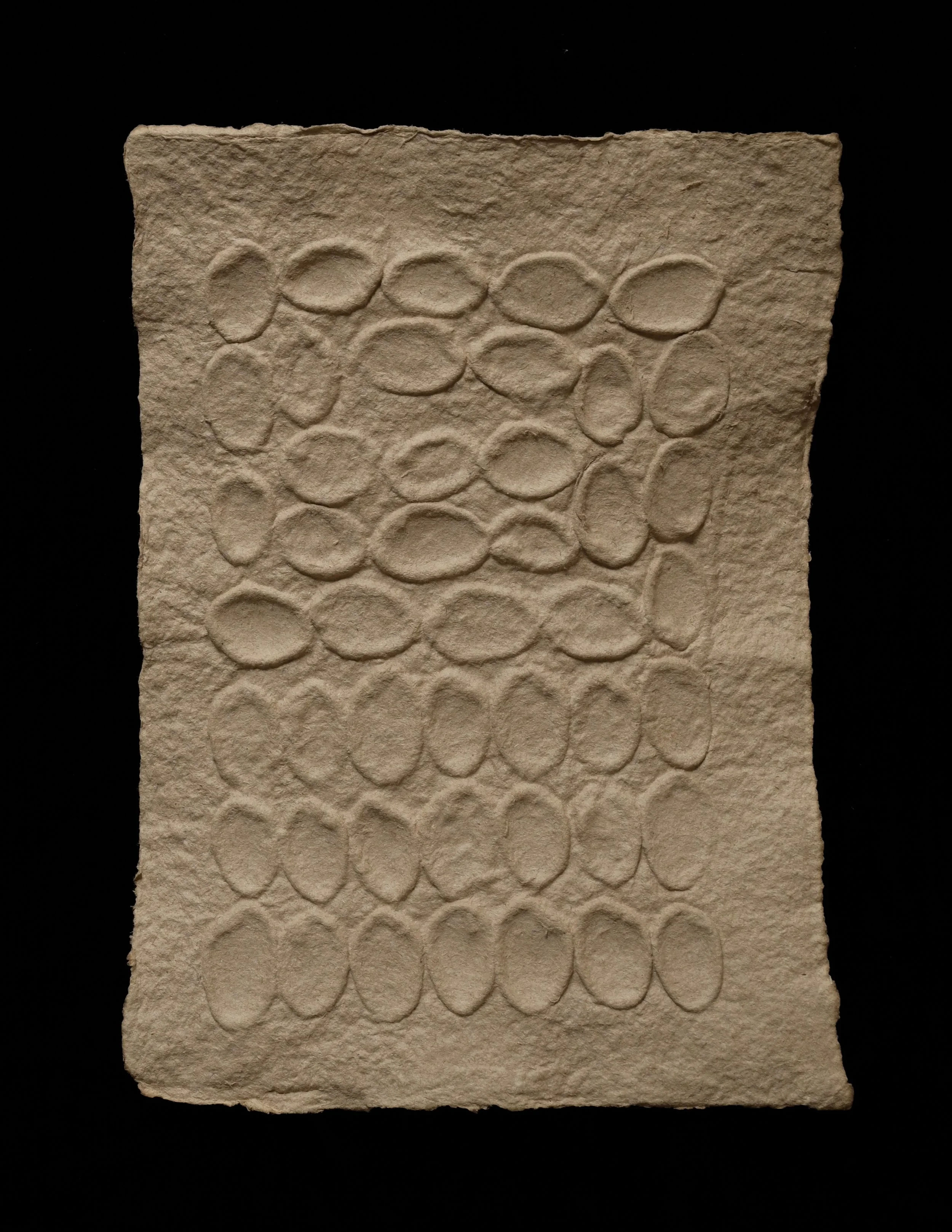 Pistachio shells, recycled paper  
6" x 8" (15.24 cm x 20.32 cm), 2024