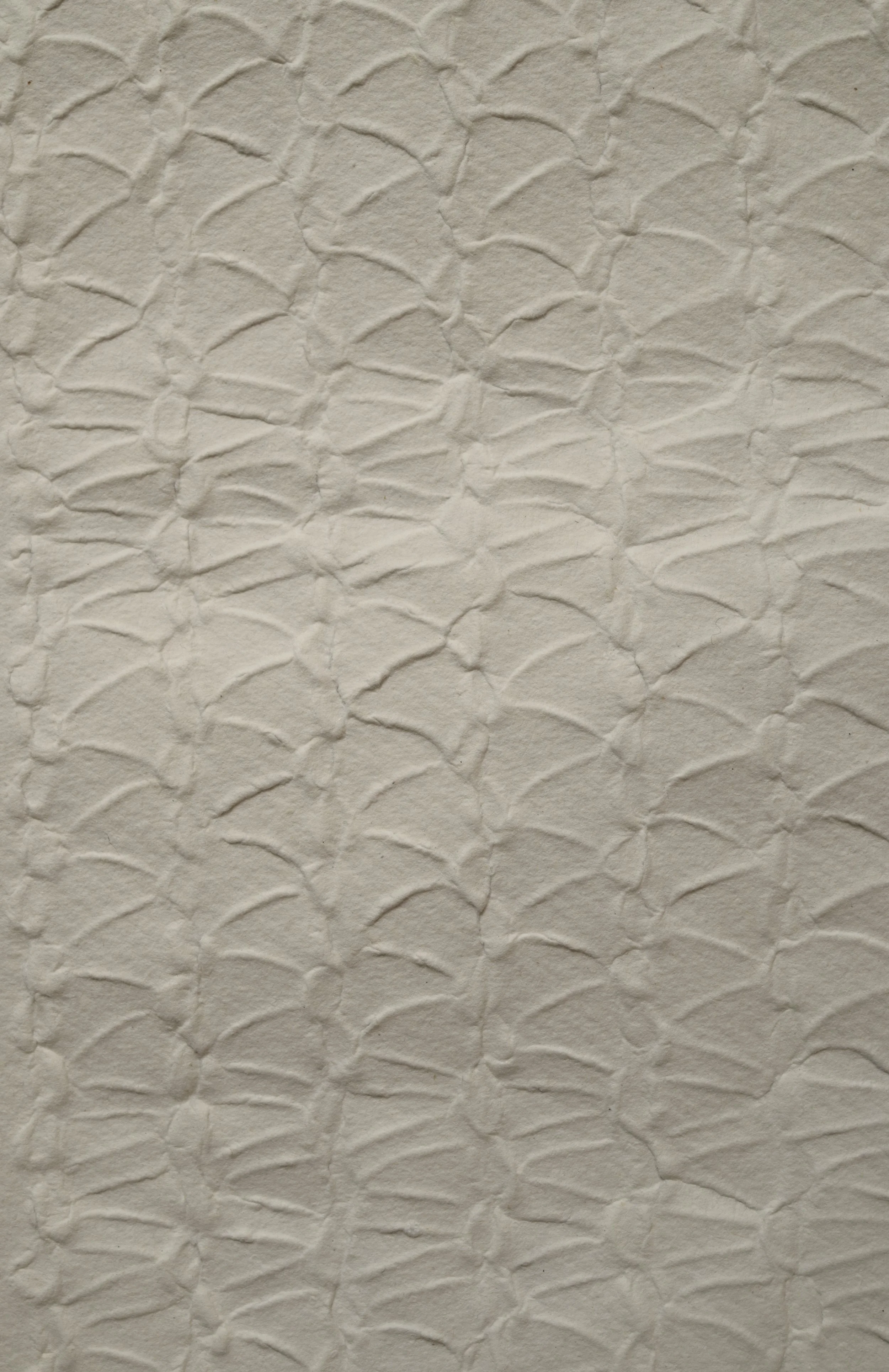 embossed paper, 
8.5" x 11.5" (21.6 cm x 29.2 cm),
2023