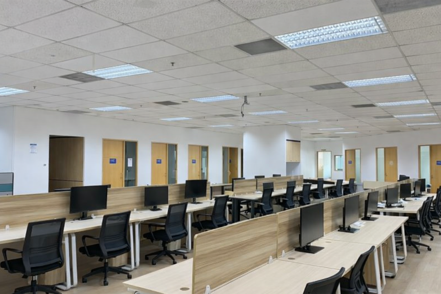 ChatGPT Image Feb 13, 2026, 11_31_24 AM.png