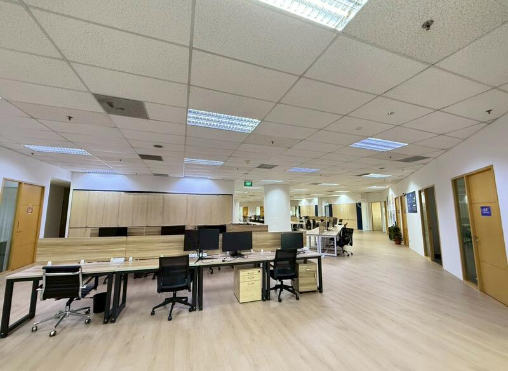 Screenshot 2026-02-13 at 11.47.37 AM_cleanup.png