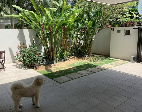 Screenshot 2026-01-17 at 12.14.50 PM_cleanup.png