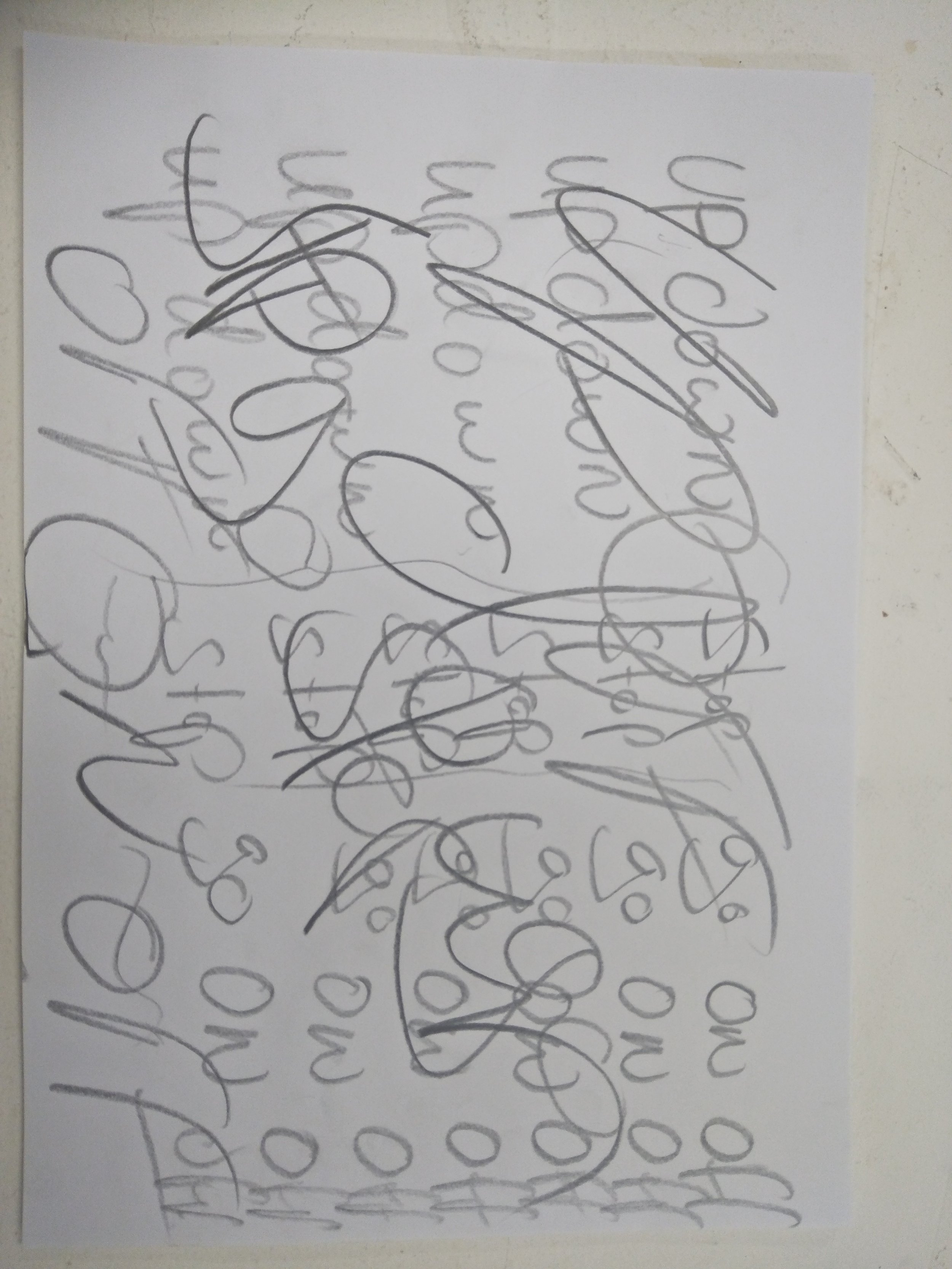 IMG20200819120113.jpg