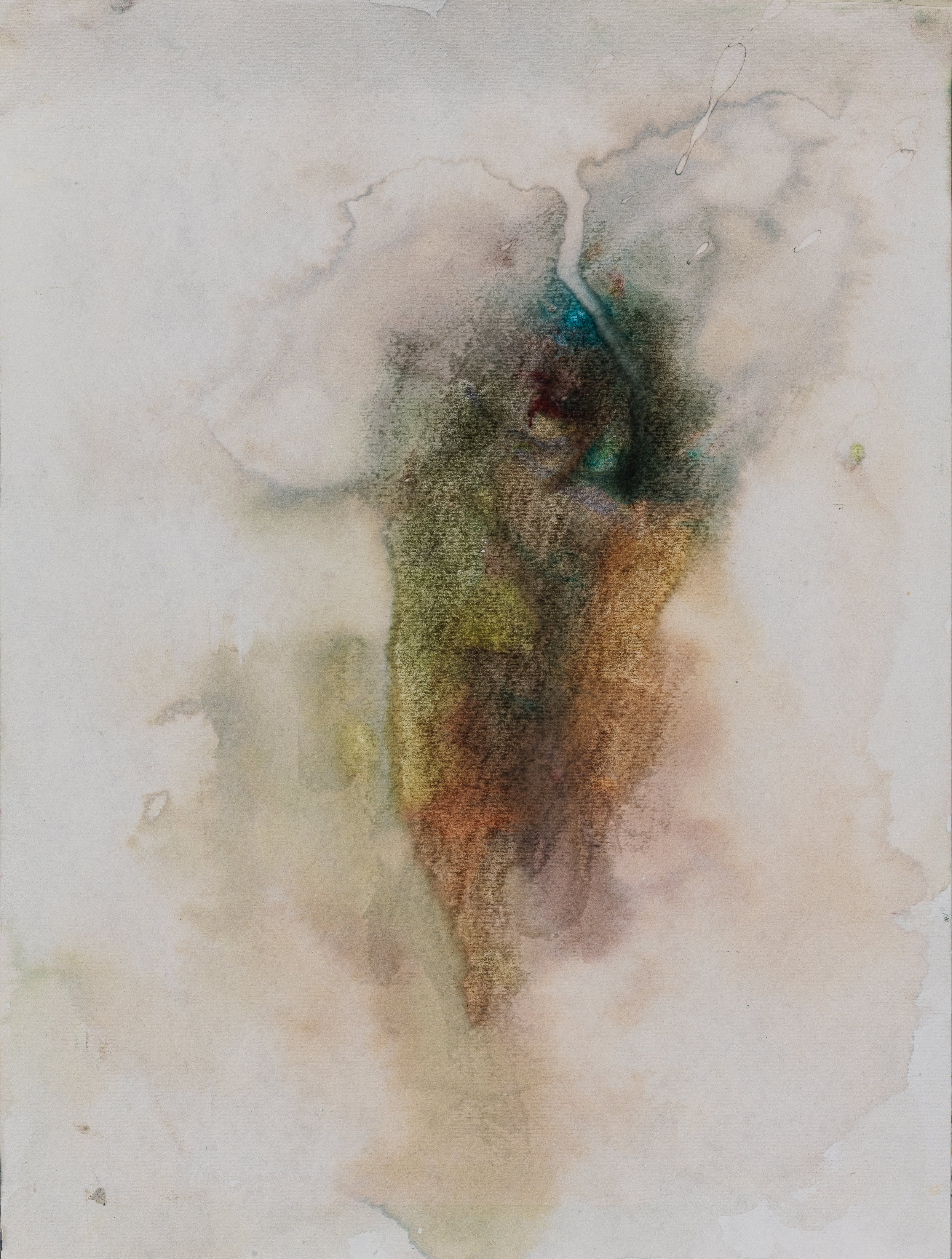 "Lungs"