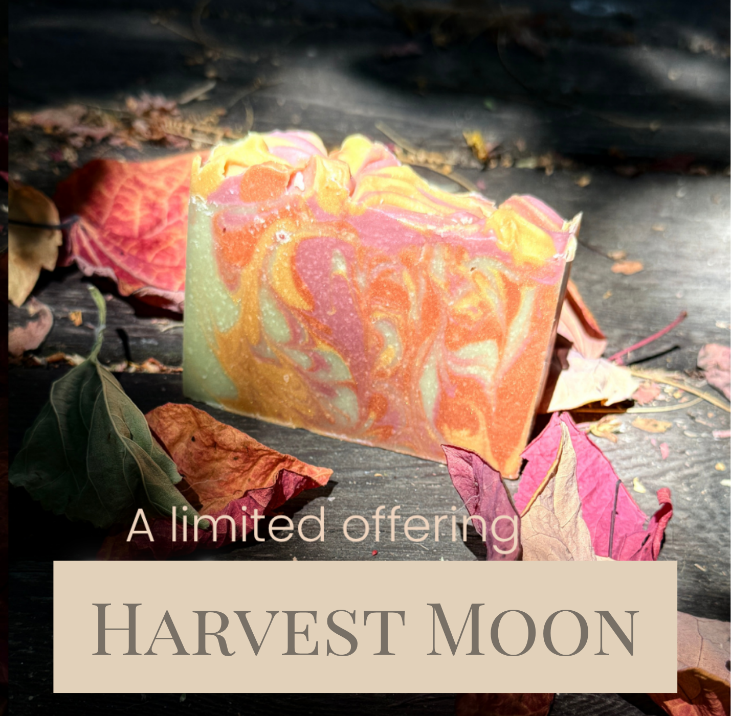 Harvest Moon Goat Milk Soap