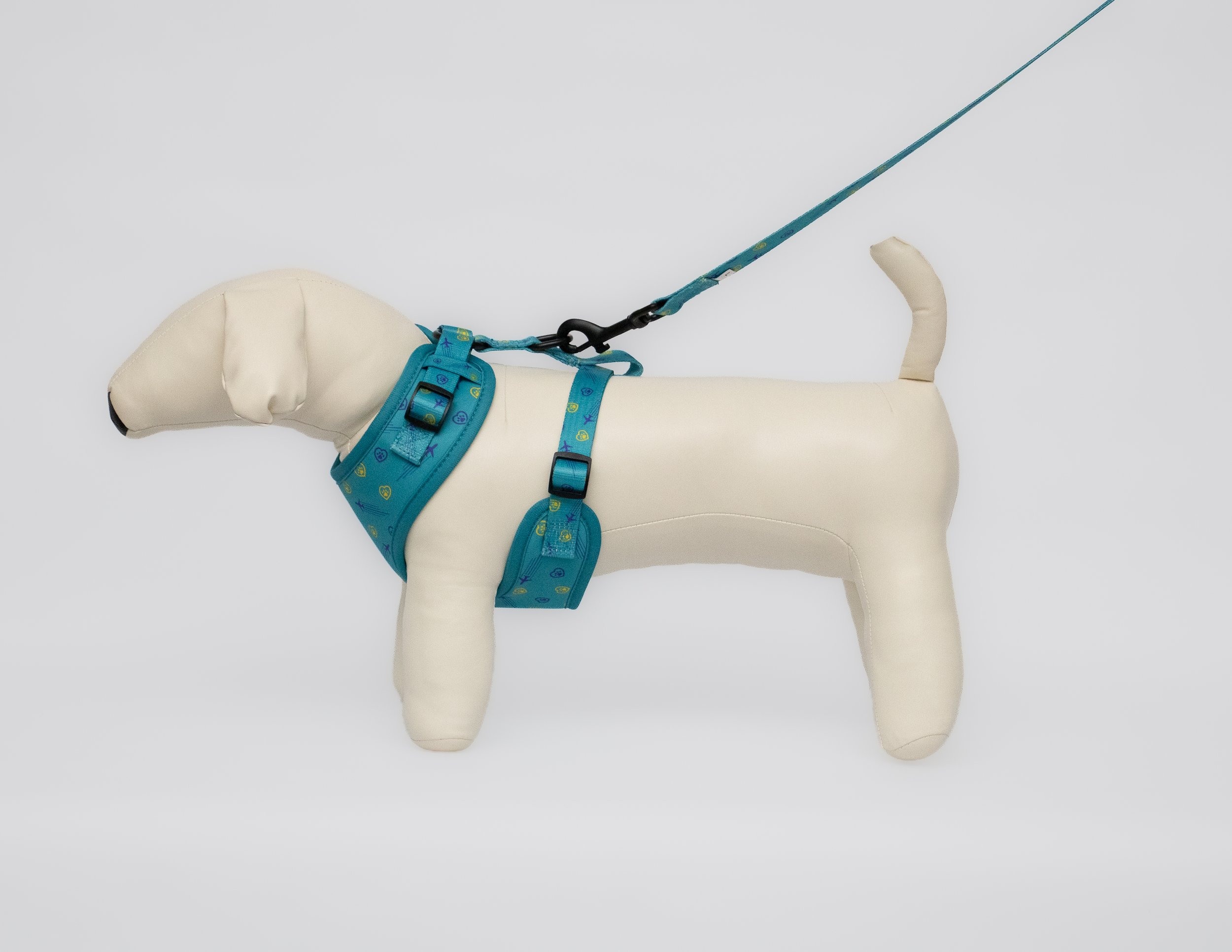 dog 5.jpg