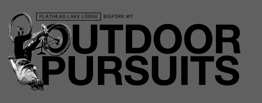 t-shirt design silkscreen design