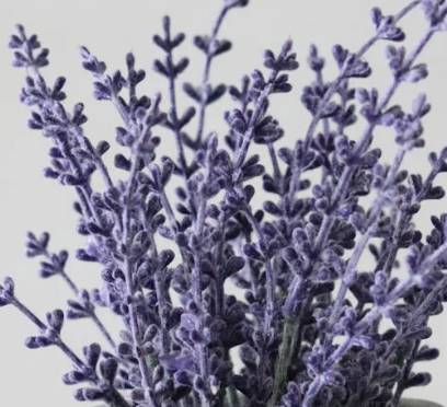 Screenshot 2025-05-25 at 9.56.23 AM.png