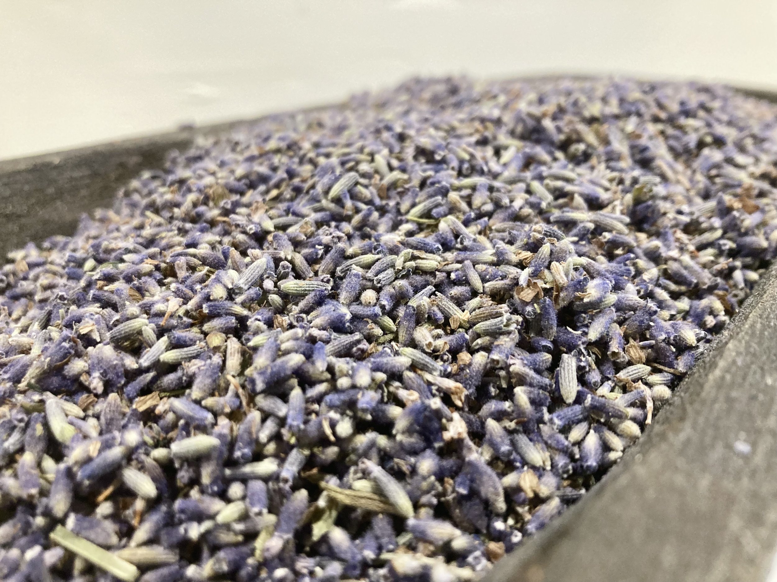 Bulk Lavender Buds