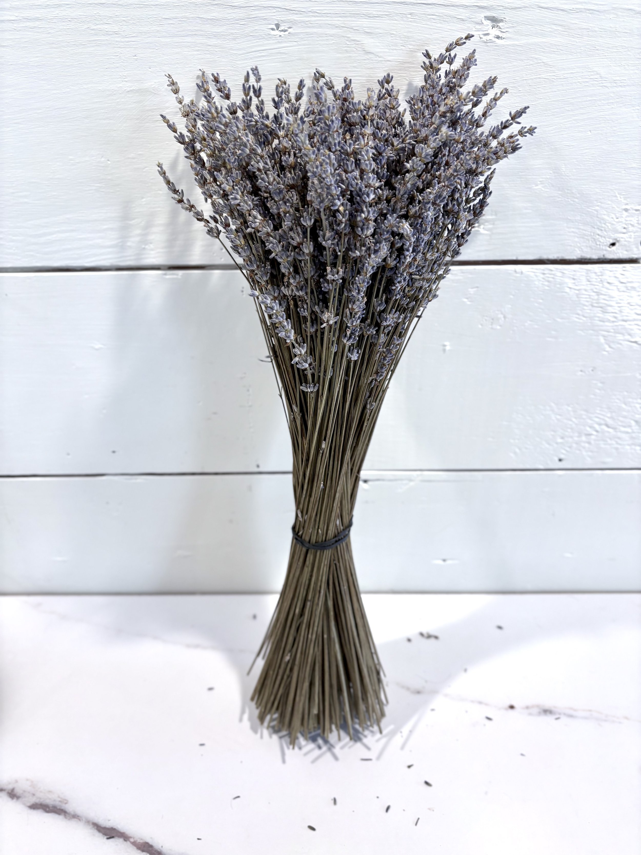 Lavender-field-bouquet-hidcote-sensational-lavender-bundle-dried-local-black-earth-wisconsin-natural-organic-3.jpg