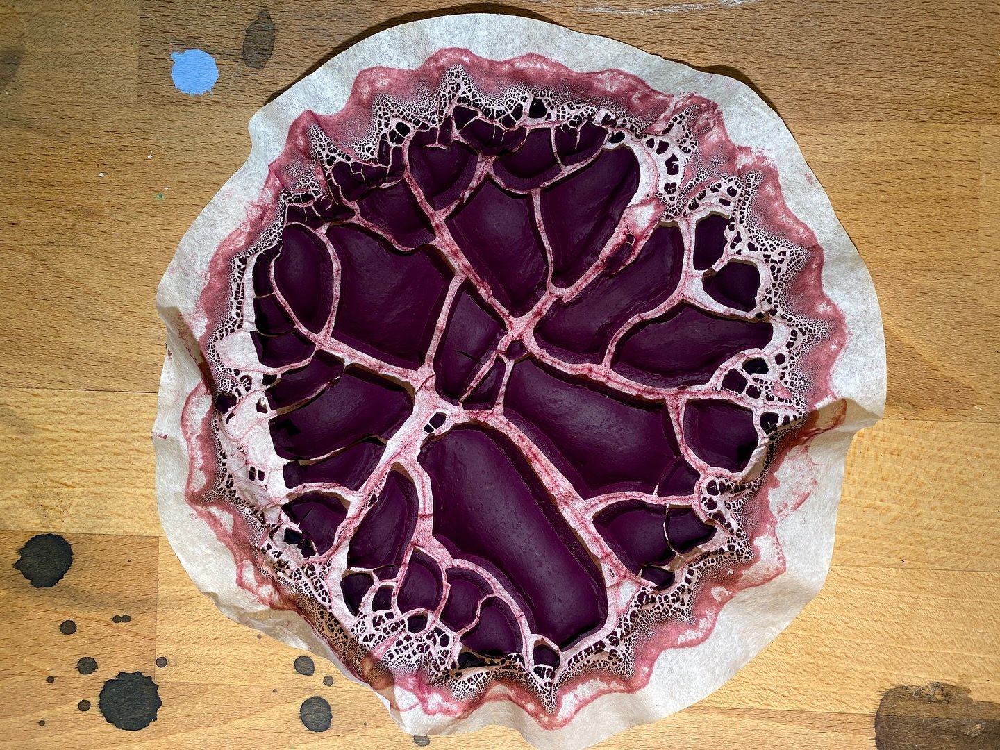 lake pigment drying
botanical + insect + mineral = paint

#cochineal
#bluecornflower 
#iris
#lakepigmentmaking