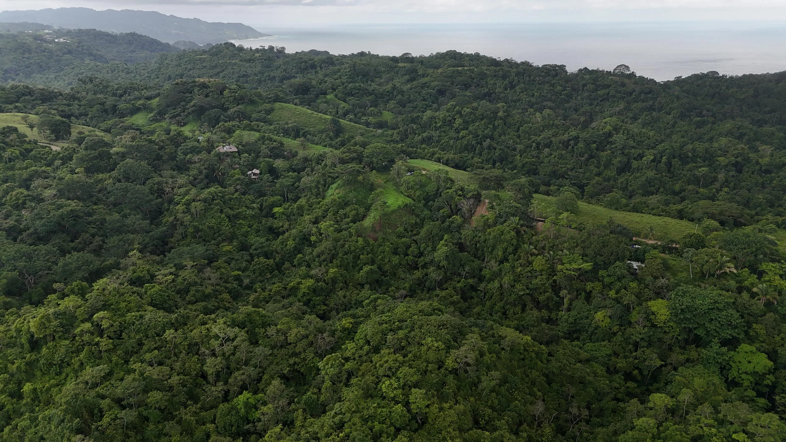 Aerial view of a lush green tropical forest on rolling hills with a distant coastline and ocean in the background.