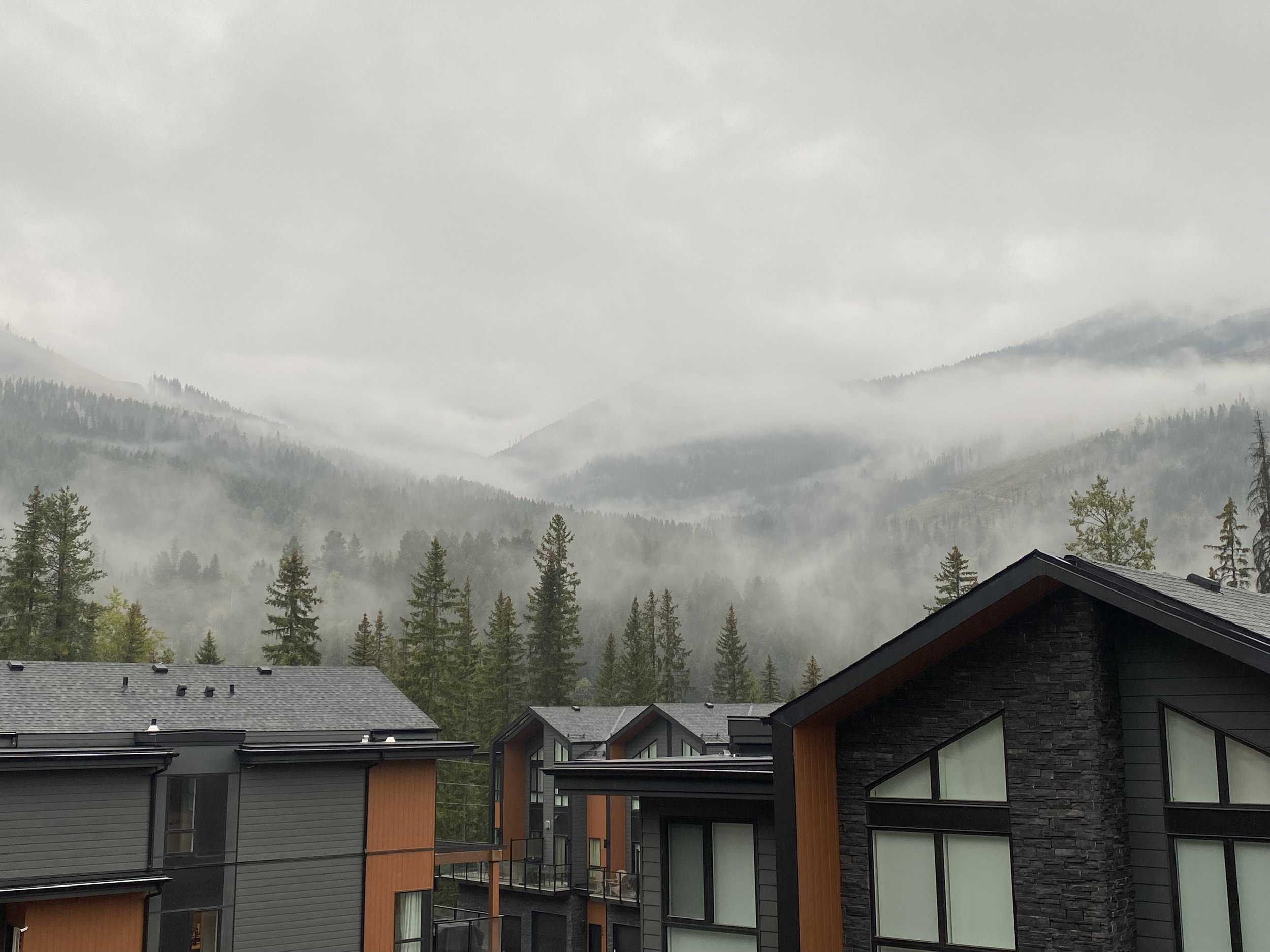 View out the rear patio (off the dining room) - enjoy the misty mountain view in the mornings!