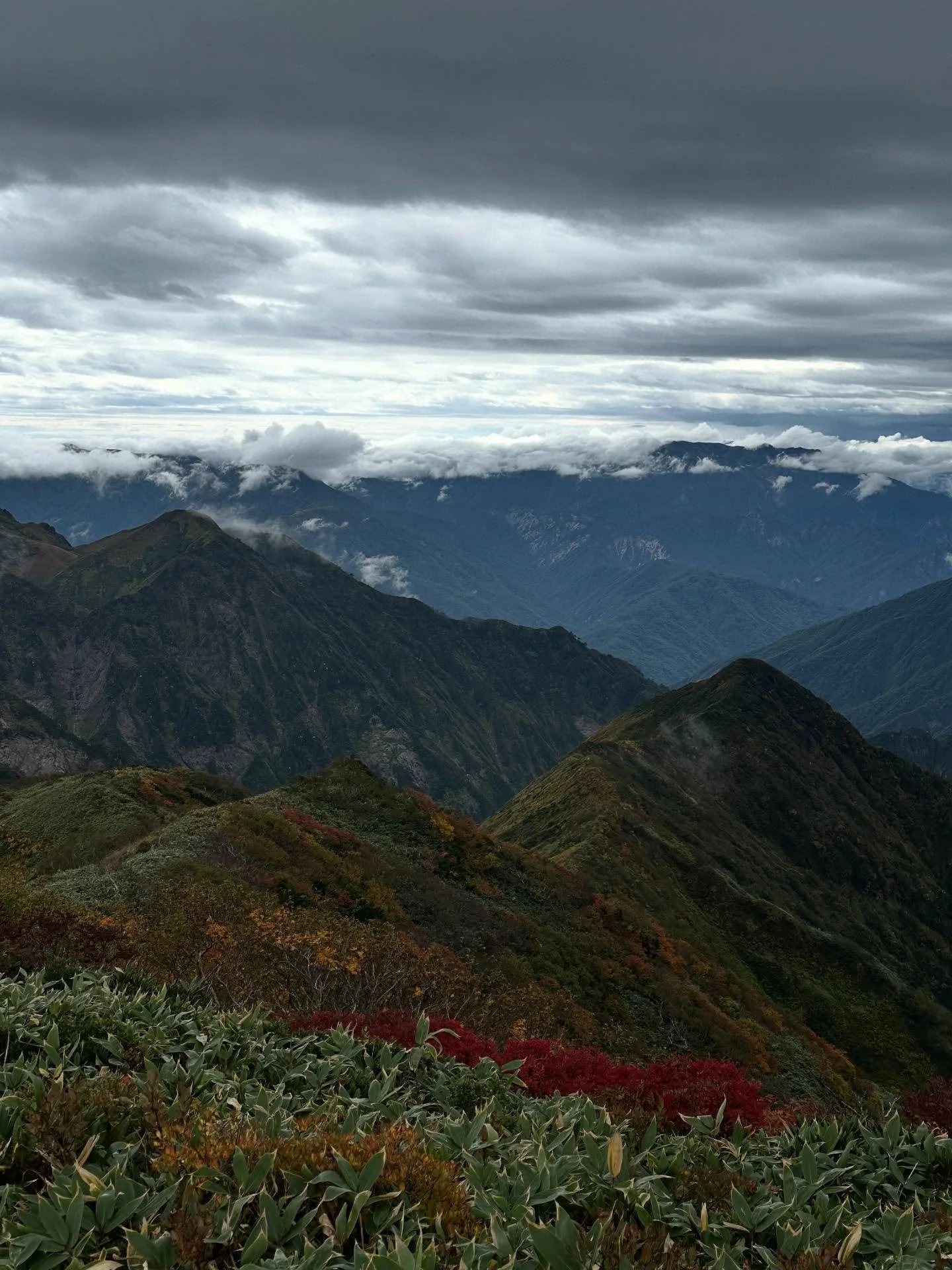 some autumn feels 🍁🍂