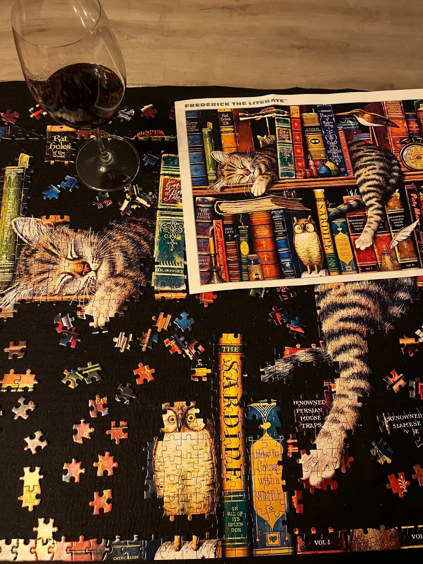 Spending a cozy evening with Frederick the Literate 😸 Should I be writing? 😳 Am I procrastinating? 😬

#bookish #authorlife