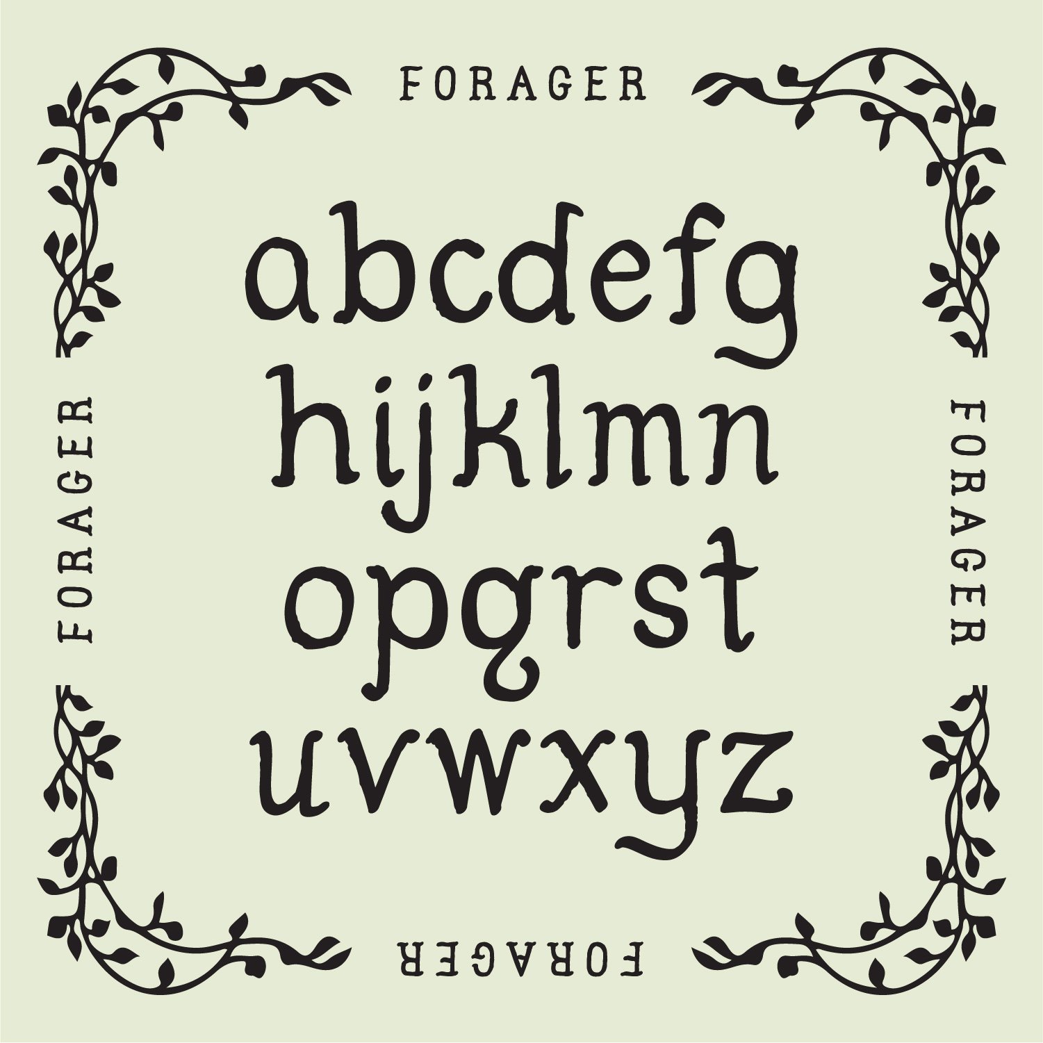 Forager-Font-04.jpg