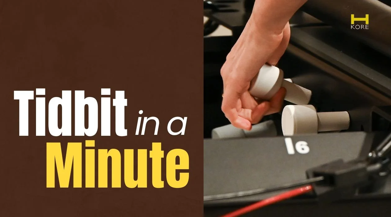 TIDBIT IN A MINUTE: From Surviving to Thriving